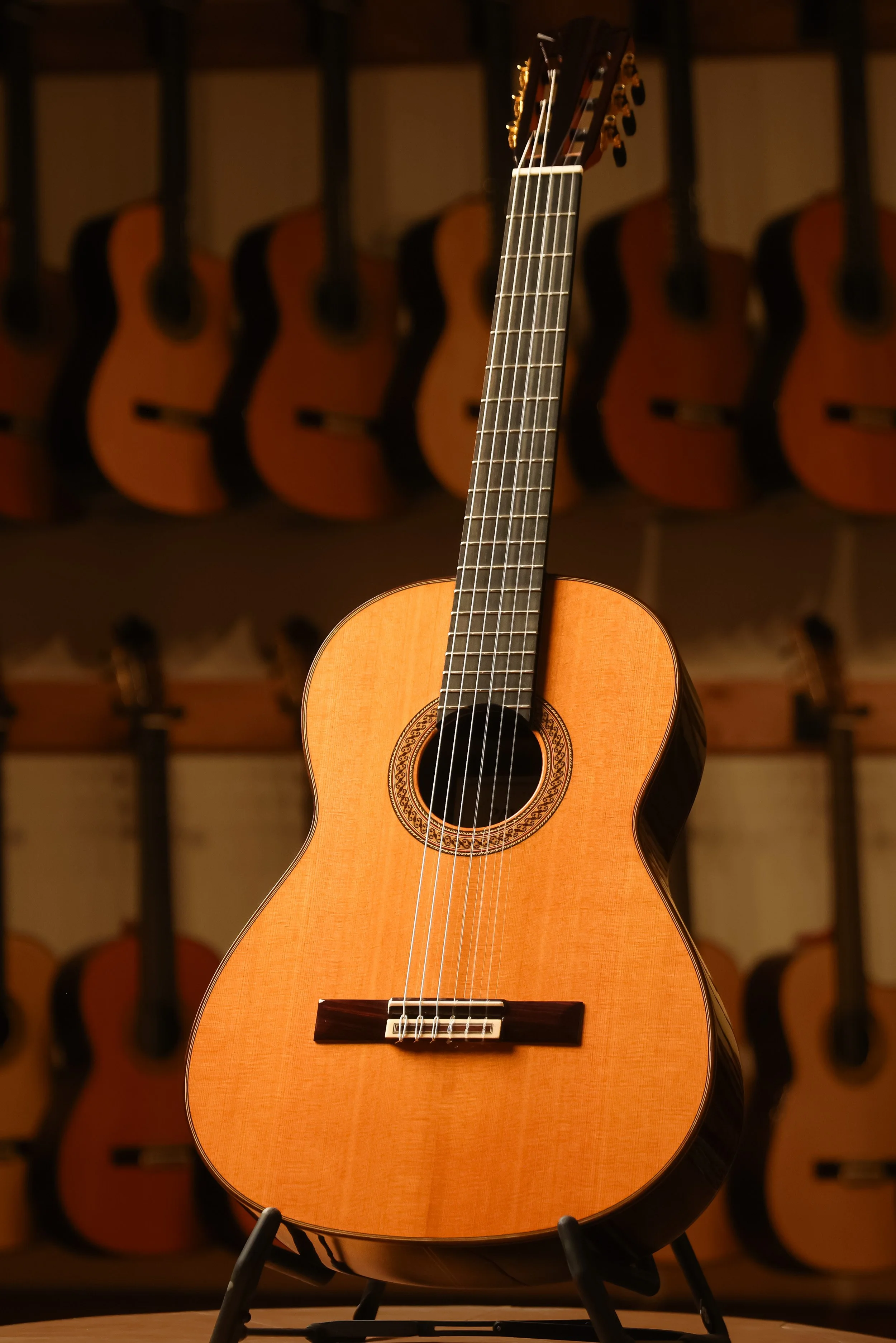 Pavan TP-20 Cedar Classical Guitar