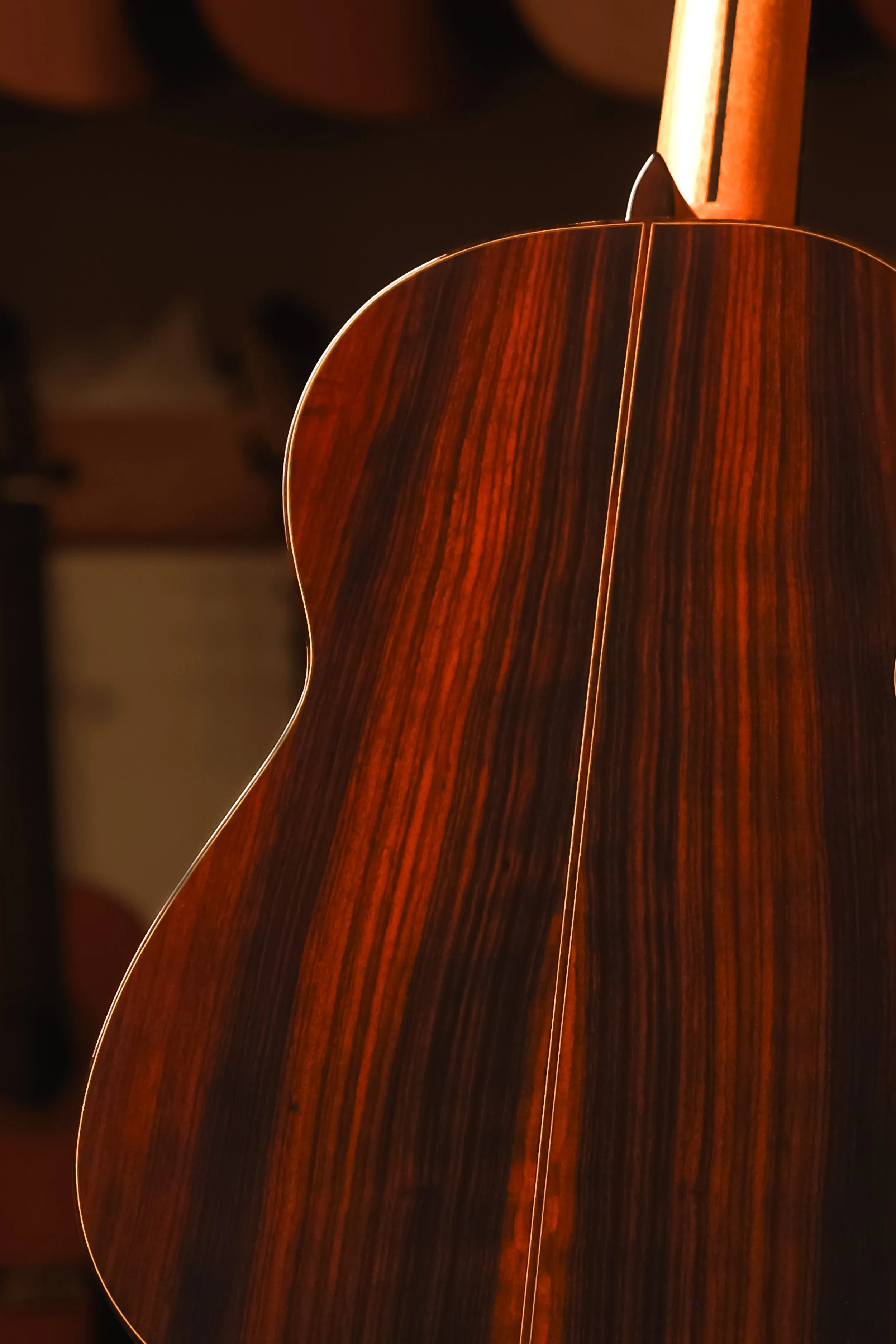 Pavan-TP-30-spruce-classical-guitar-closeup-back.jpg