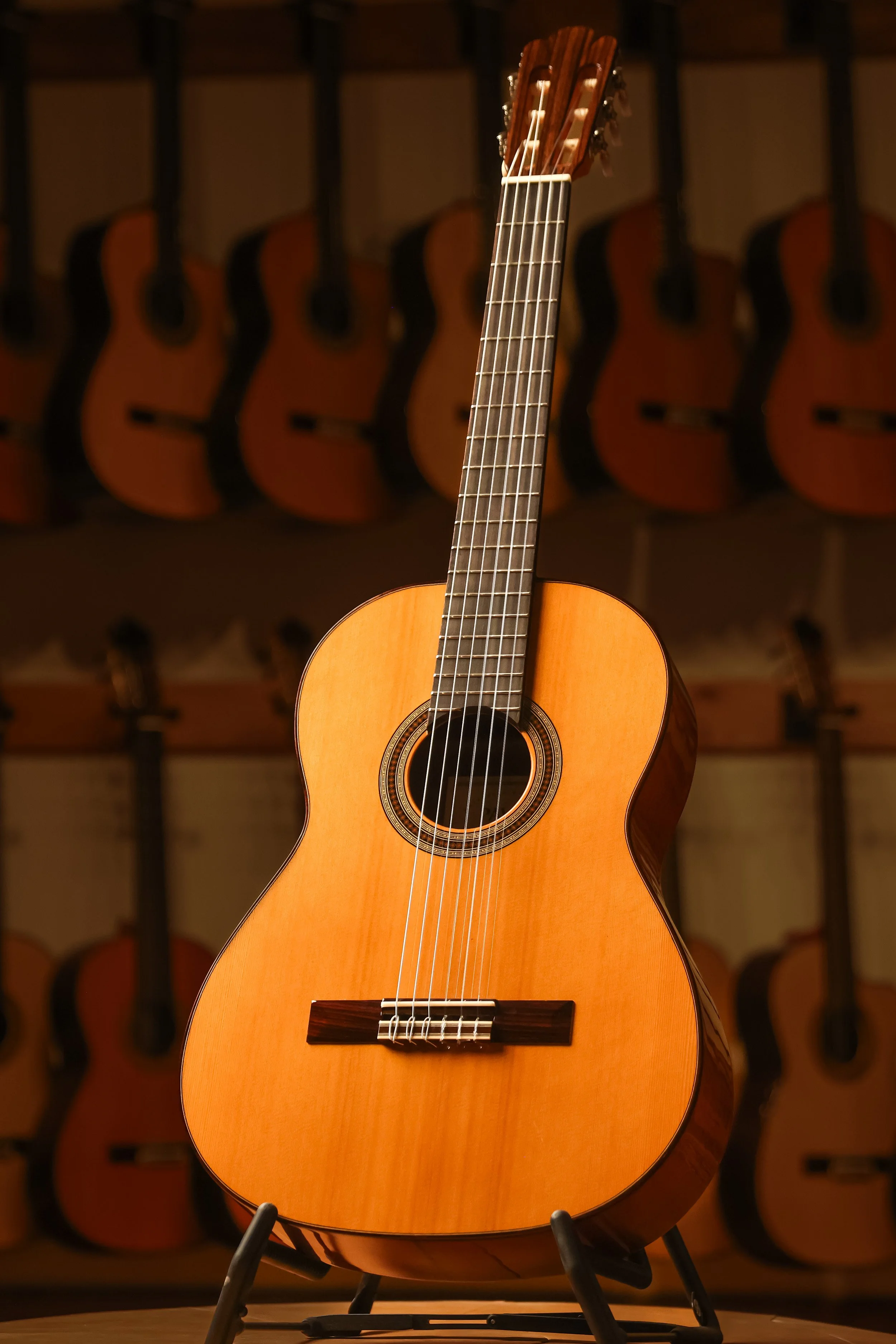 Pavan TP-10 Cedar Classical Guitar