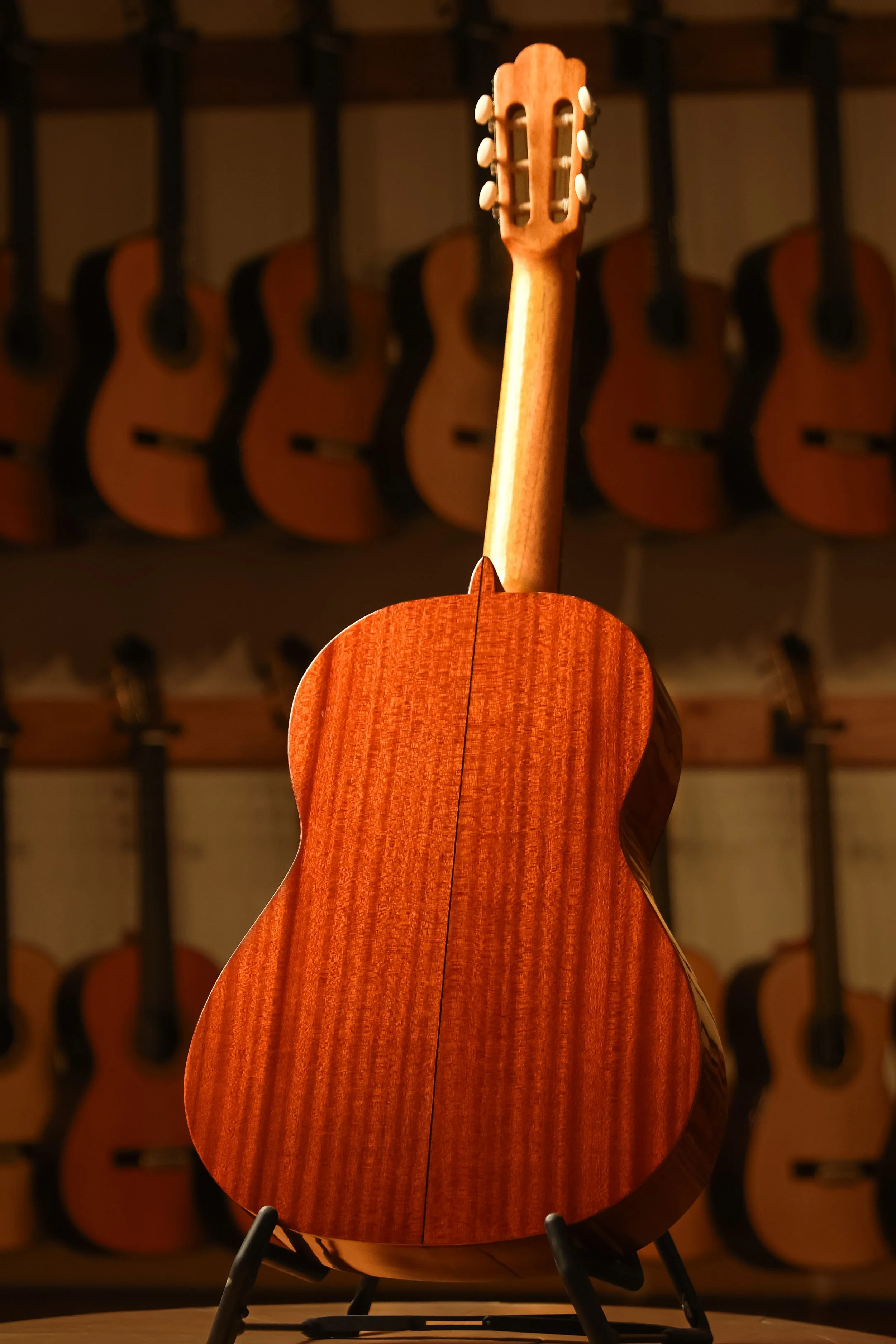Pavan-TP-10-classical-guitar-back.jpg