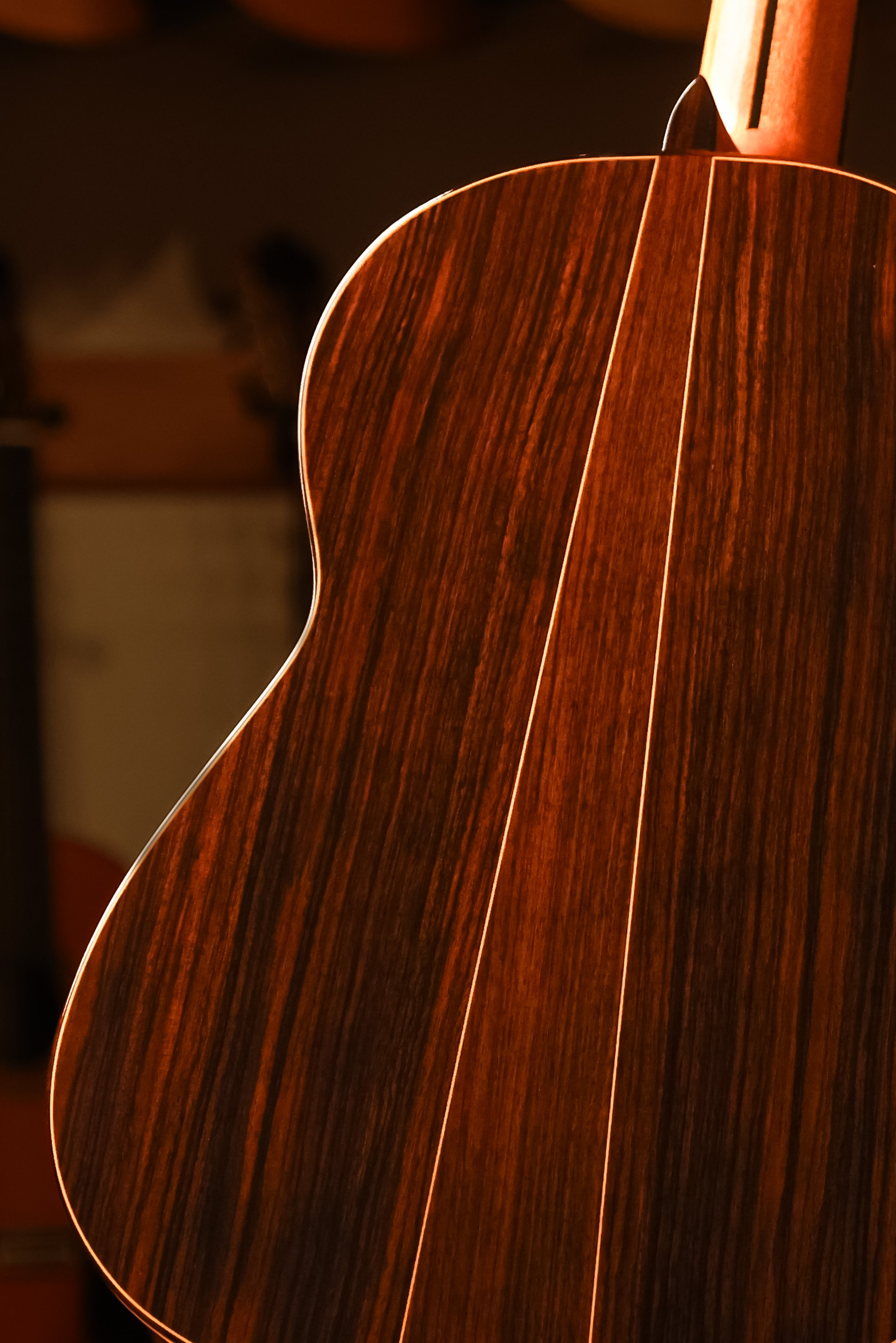 Pavan-TP-20-classical-guitar-back-closeup.jpg