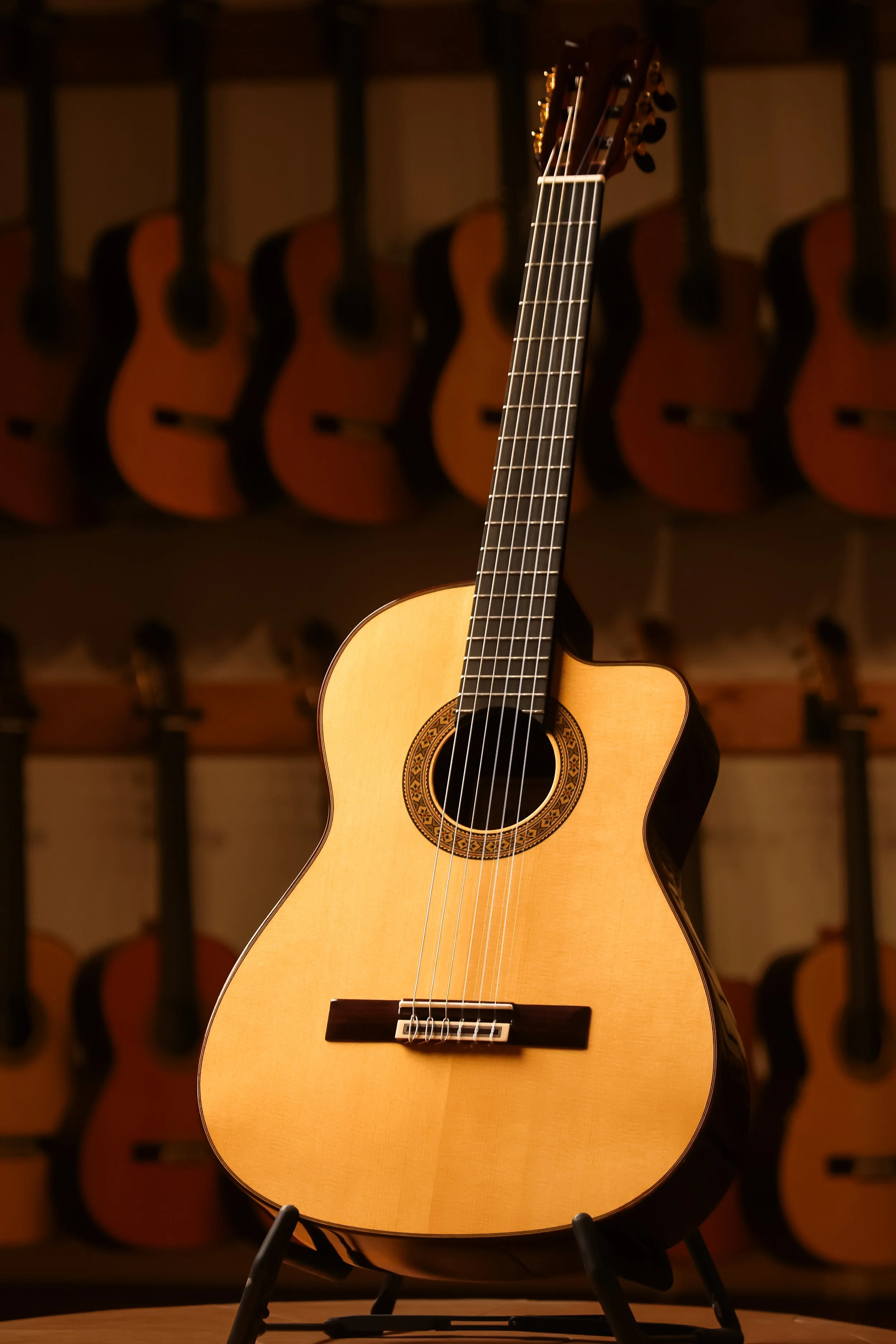 Pavan TP-30-AC Spruce Classical Guitar