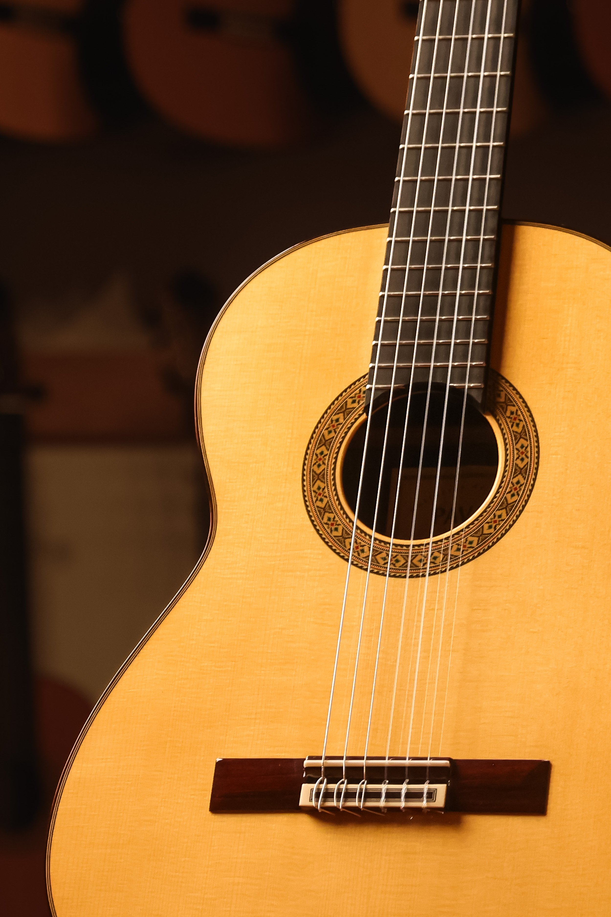 Pavan-TP-30-spruce-classical-guitar-closeup-front.jpg