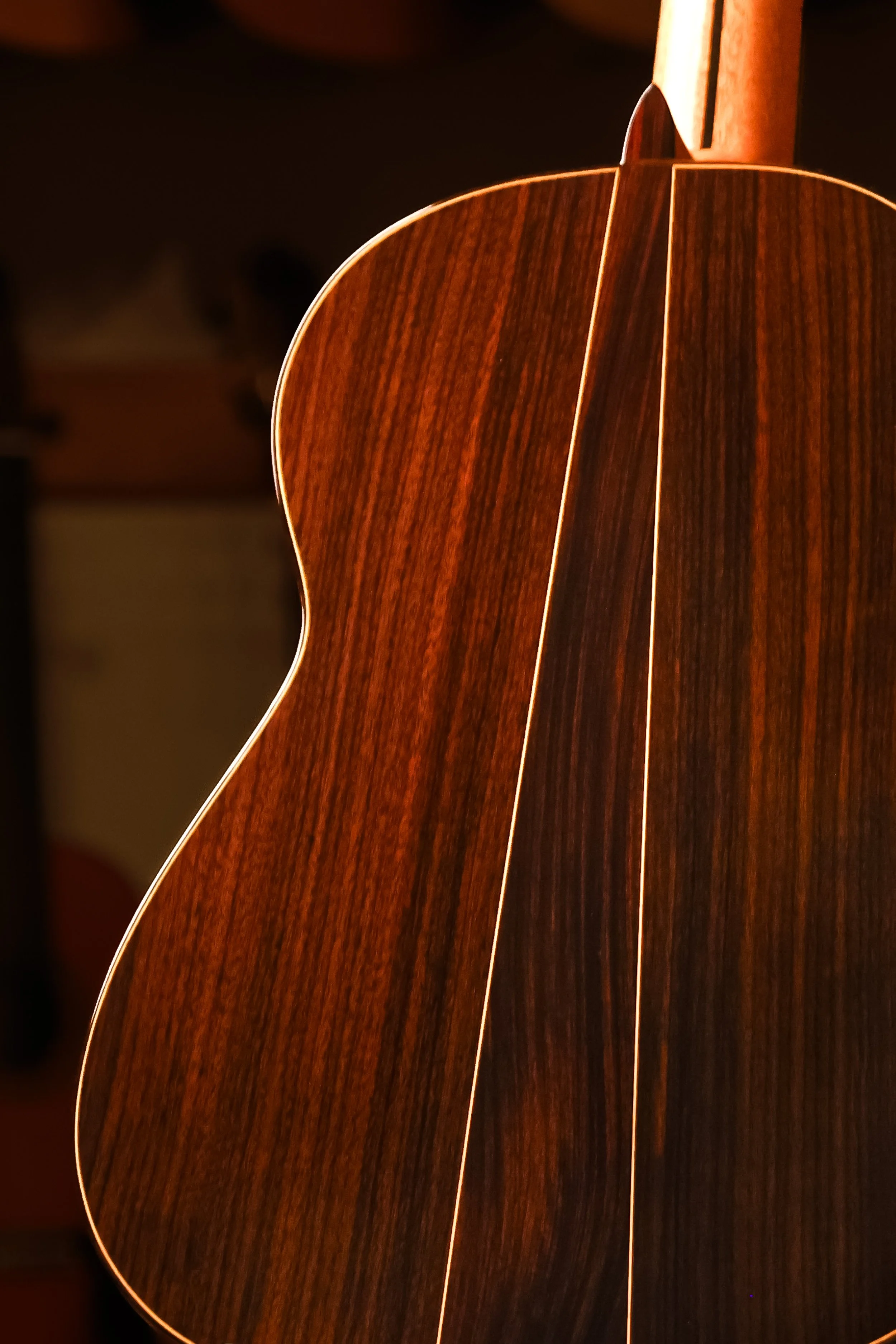 Pavan-Flamenca-spruce-classical-guitar-back-closeup.jpg