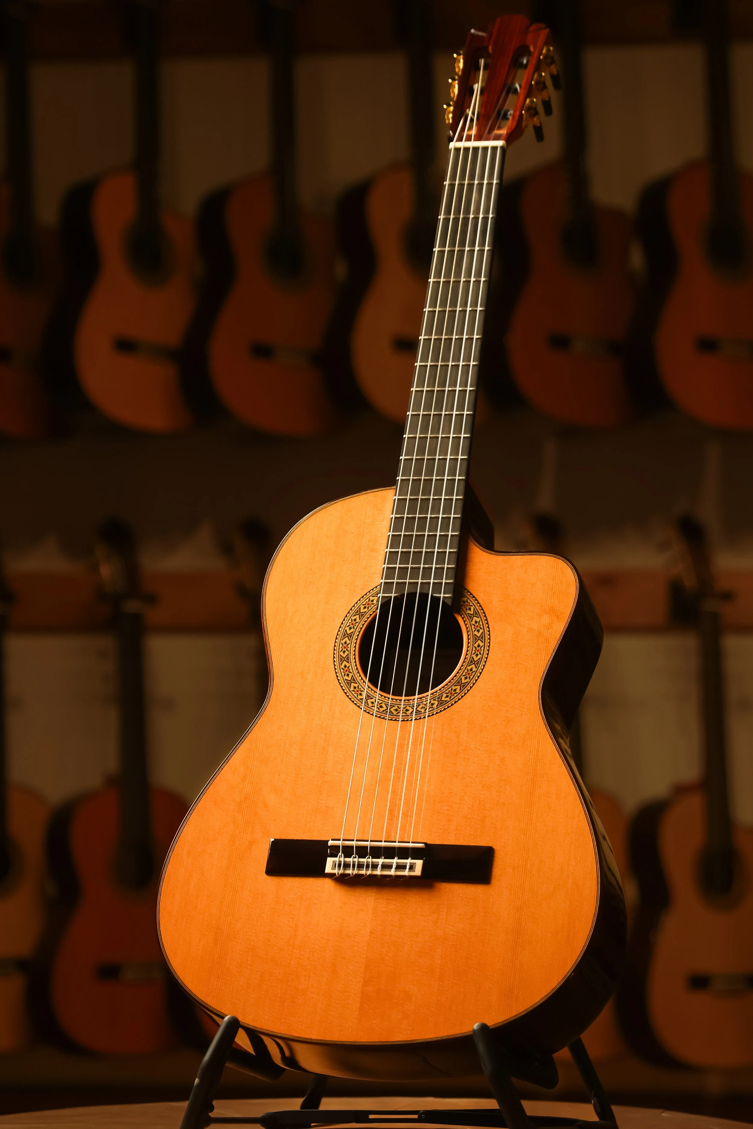 pavan tp-30-ac cedar guitar