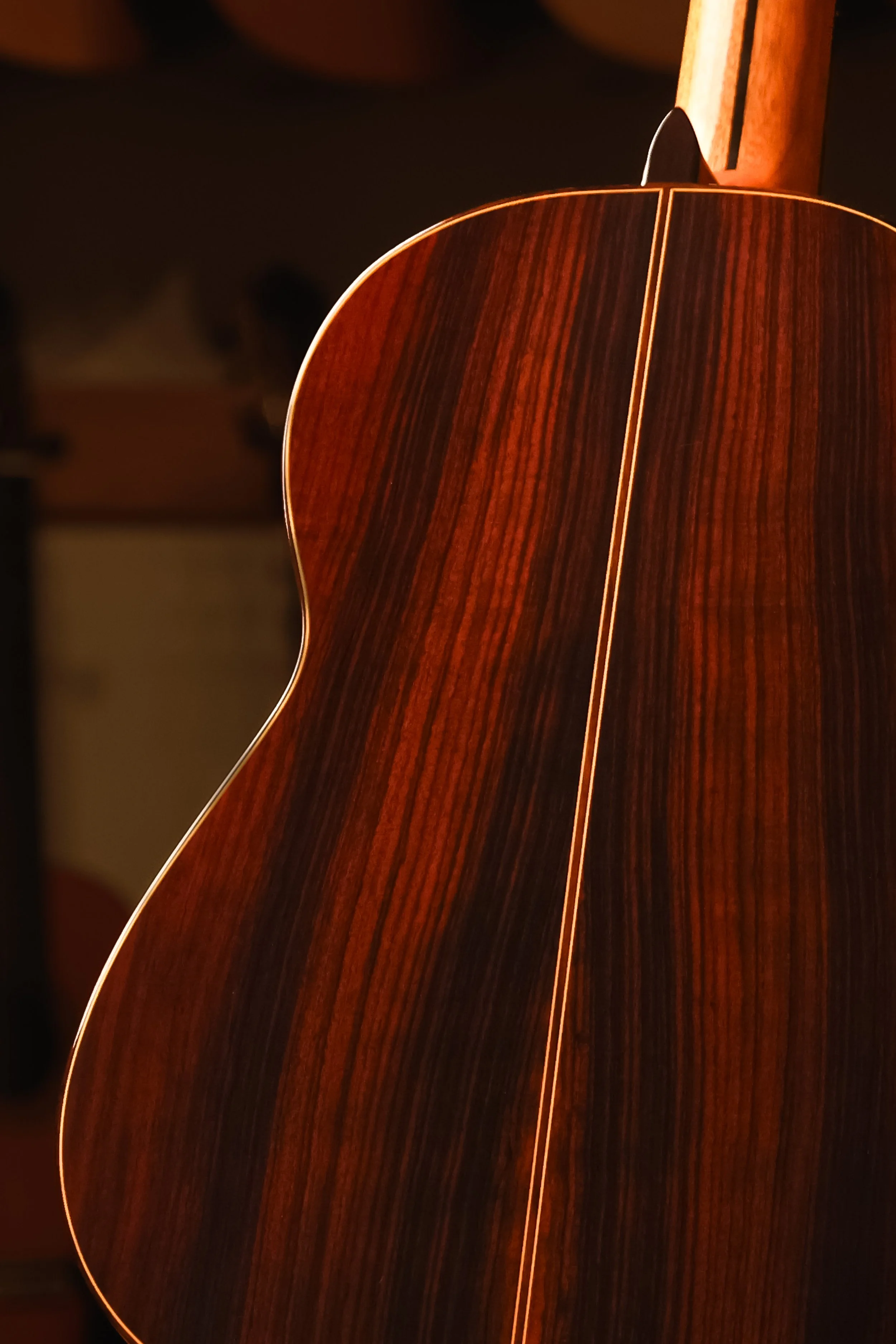 Pavan-TP-30-cedar-classical-guitar-back-closeup.jpg