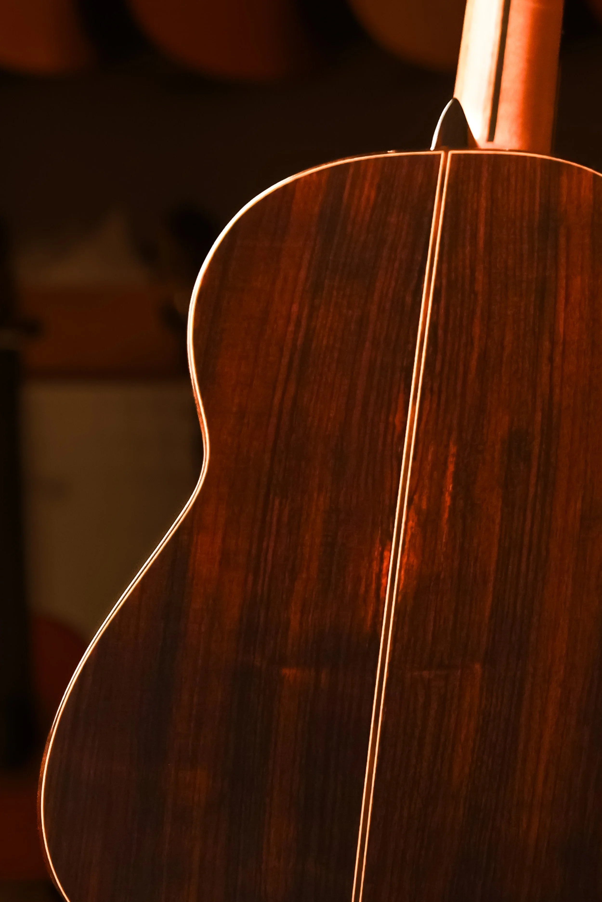 Pavan-flamenca-cedar-classical-guitarback-closeup.jpg