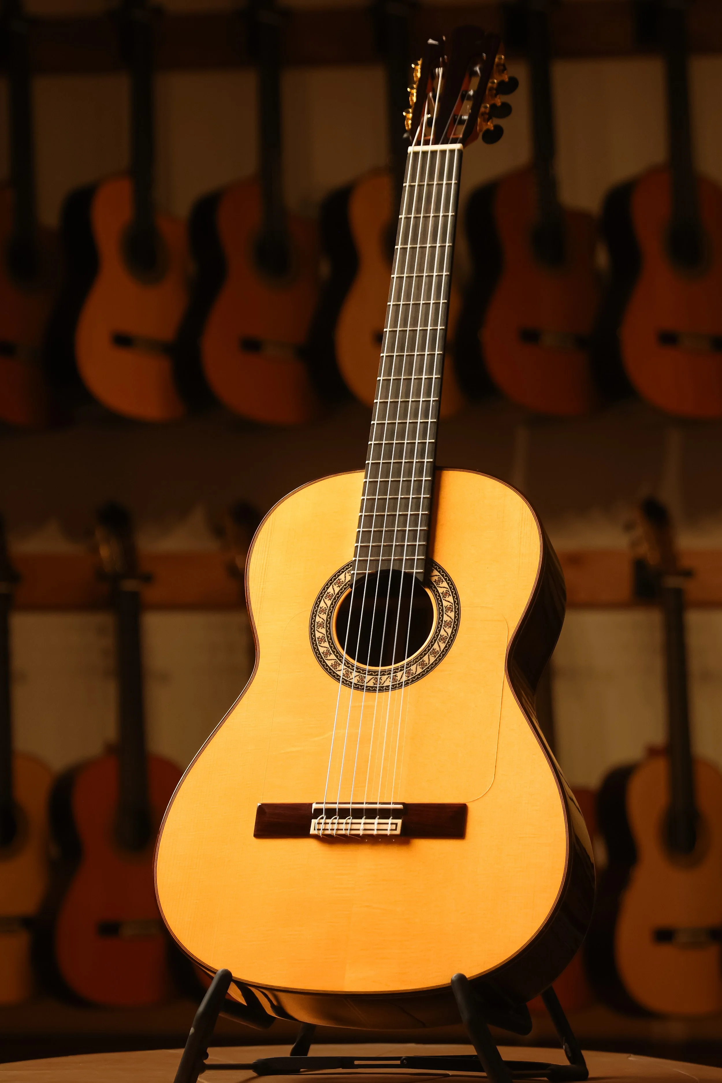 Pavan Flamenca Negra Spruce