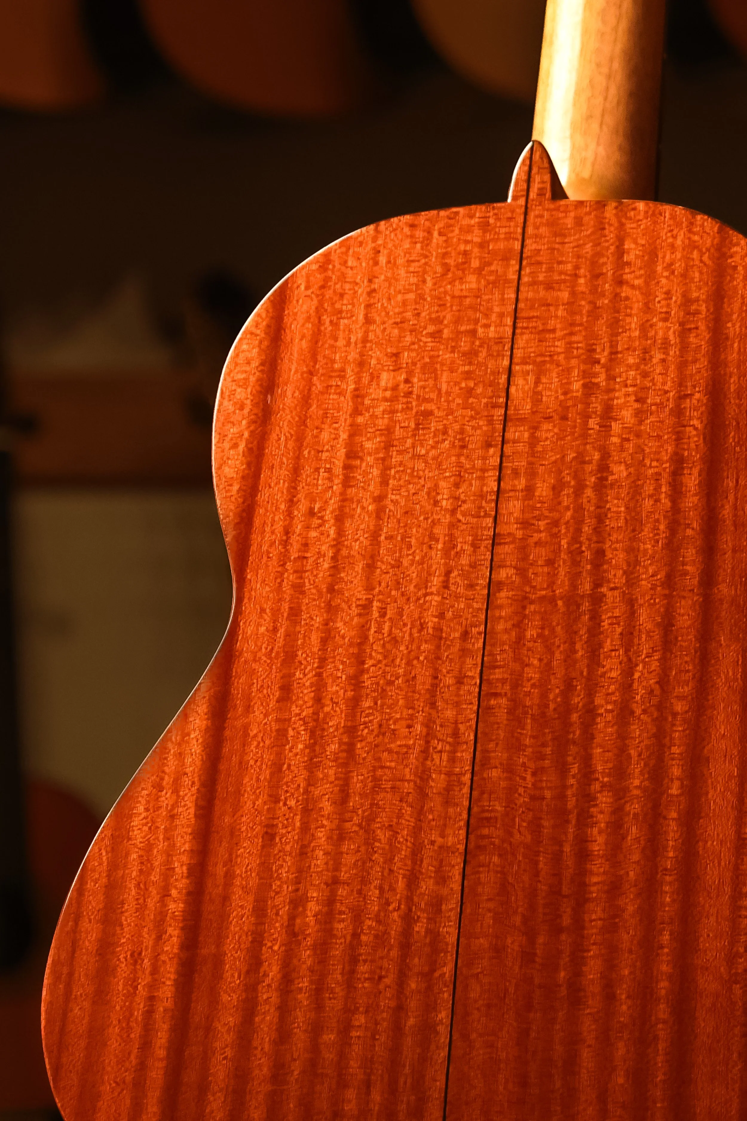 Pavan-TP-10-classical-guitar-closeup-back.jpg