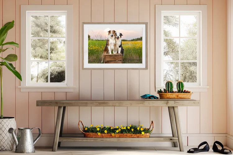 Framed portrait of two dogs above a hall table