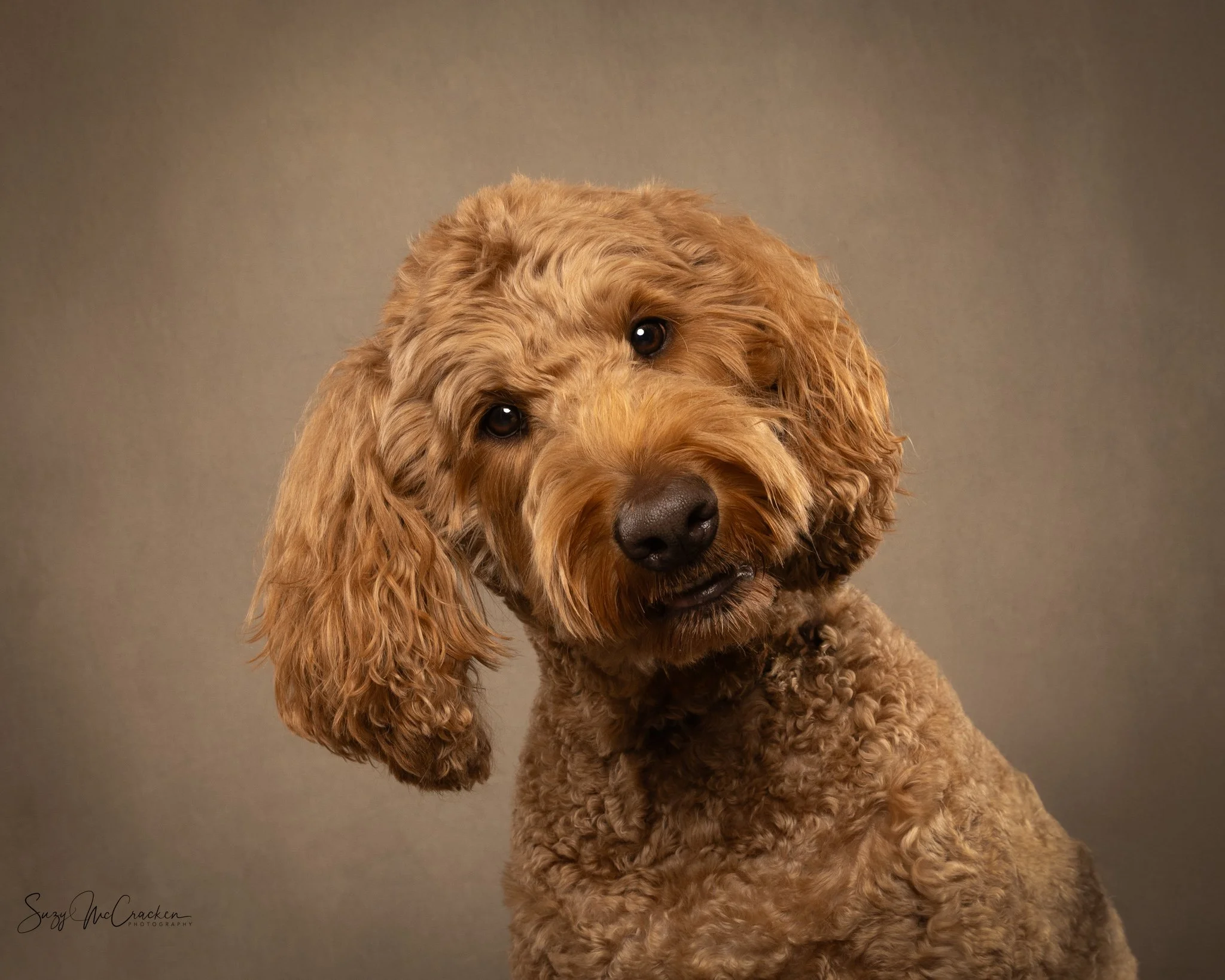 Liz Dawson Charlie lrwm-16.jpg