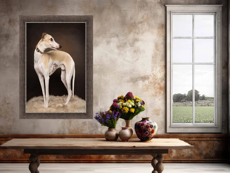 Framed portrait of a Whippet hanging in a room