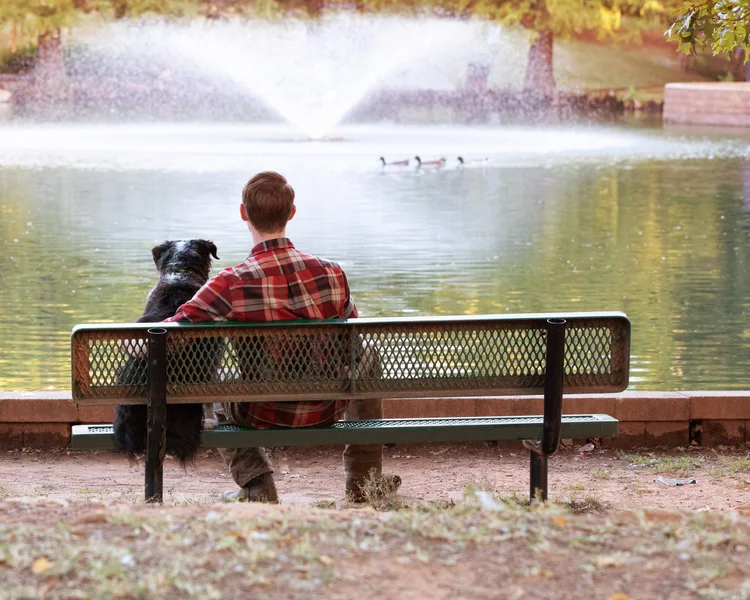 A man and his dog on a bench by a lake