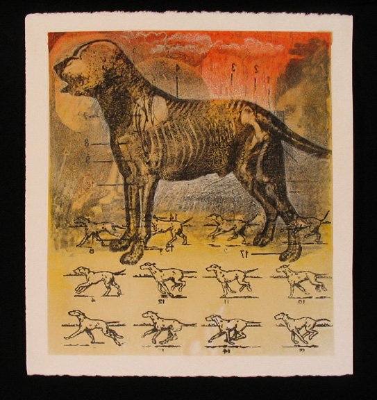Specimen, 2006; new pastel, ink transfer, contè crayon on Rives BFK, 11" x 10