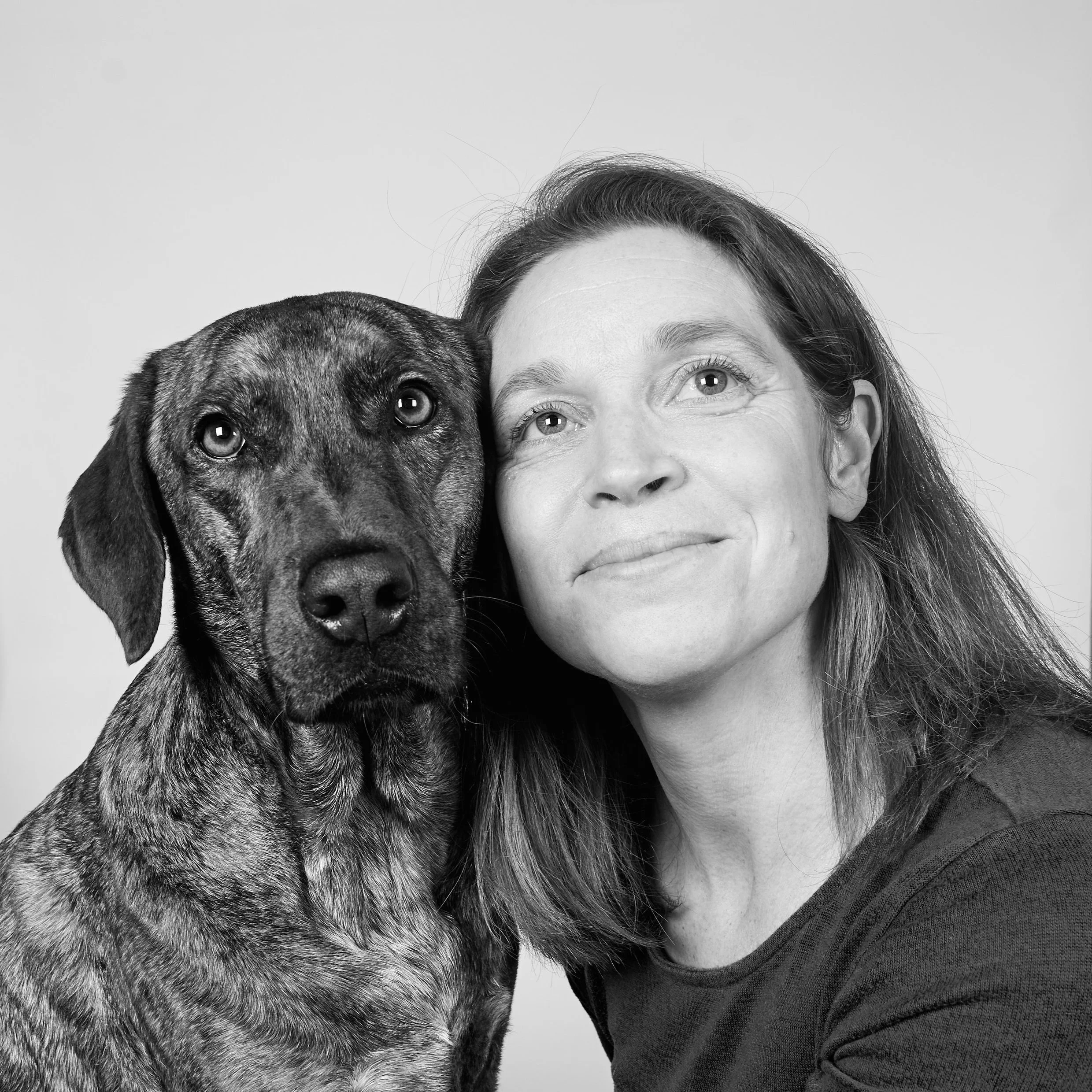 Paw Print Studio Connecticut Pet Photography Studio paw-print-studio-connecticut-pet-photography-studio