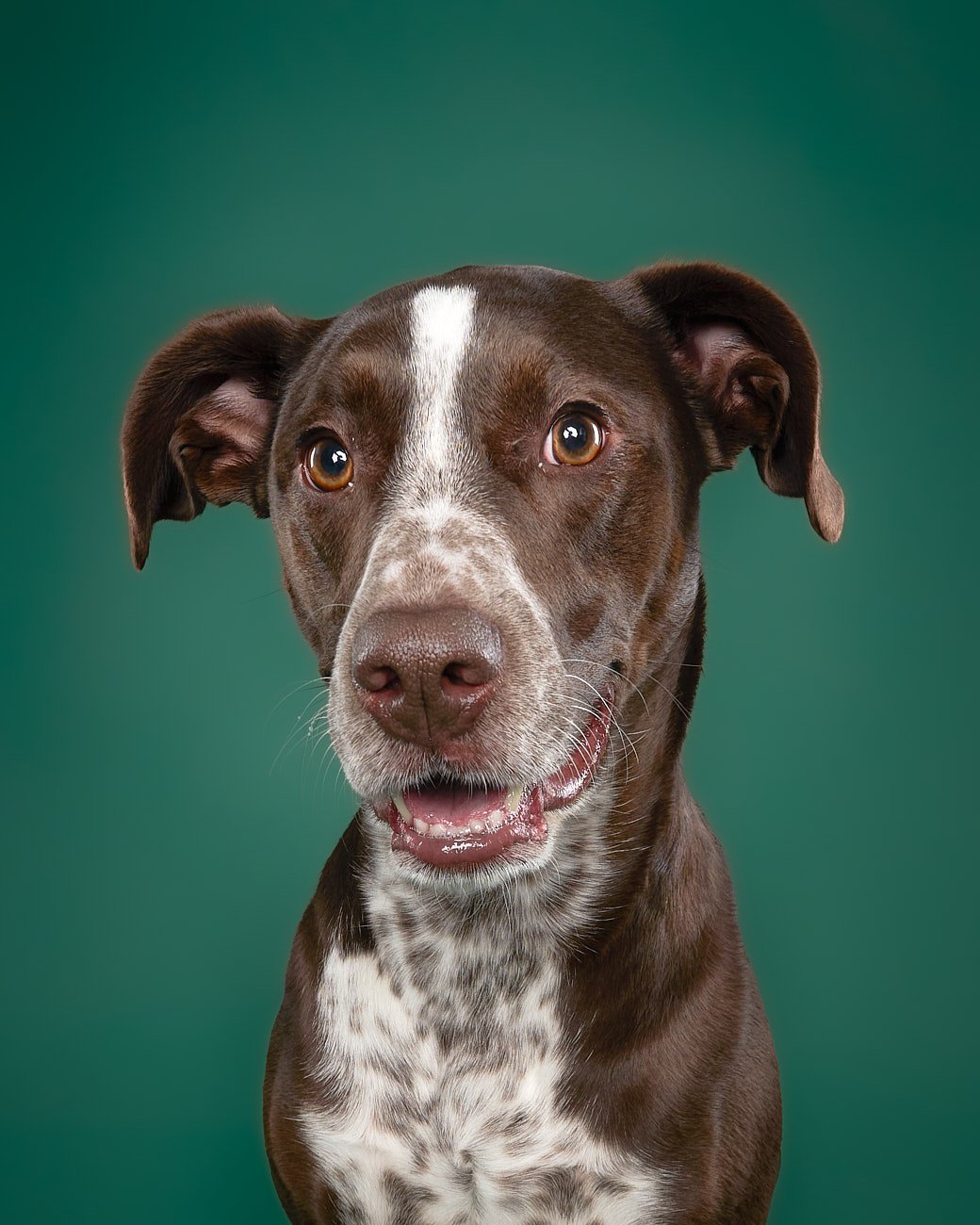 May 13 Rescues7398-WEB.jpg