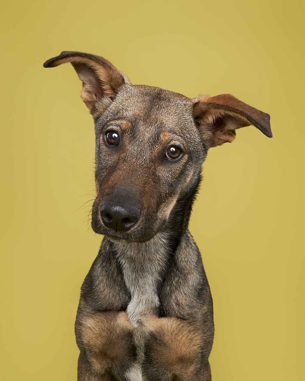 May 13 Rescues7543-WEB.jpg