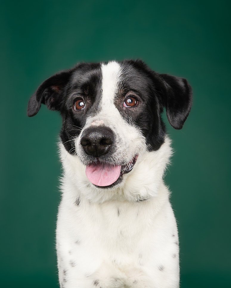 May 13 Rescues7382-WEB.jpg
