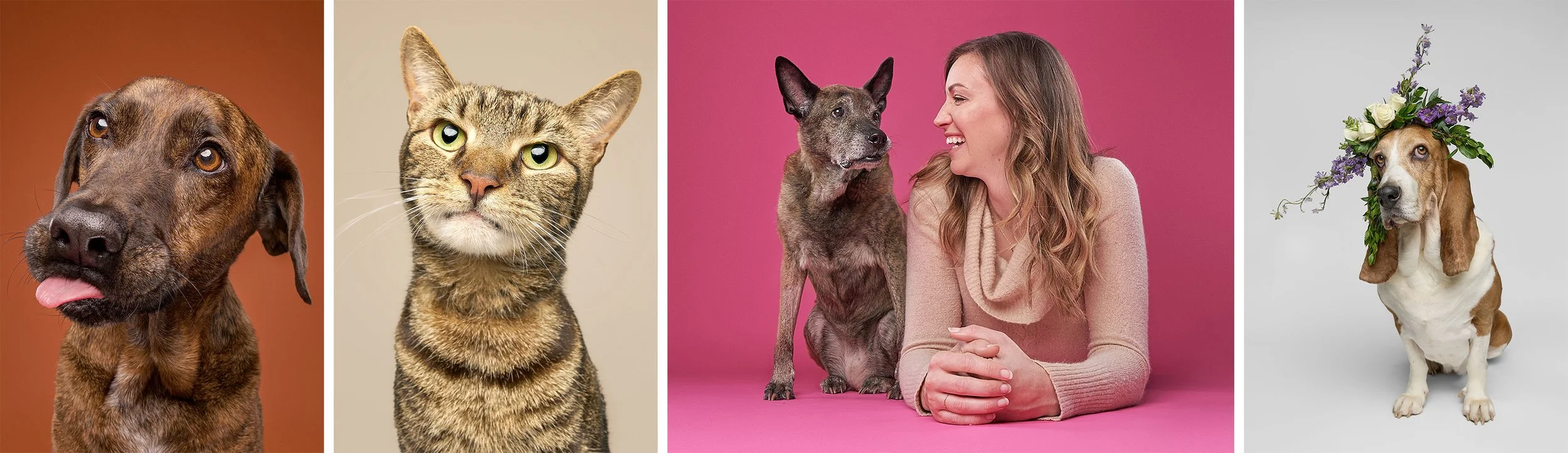 Portraits of dogs and cats with Paw Print Studio