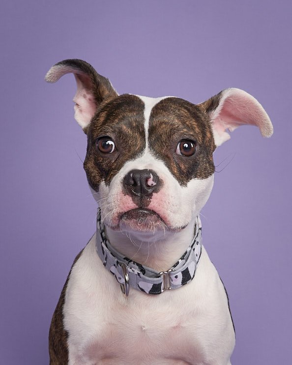 May 13 Rescues7464-WEB.jpg