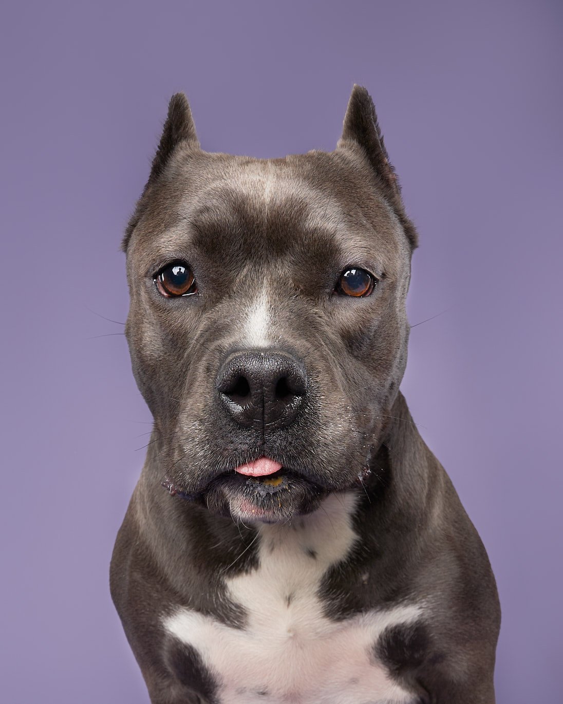 May 13 Rescues7519-WEB.jpg