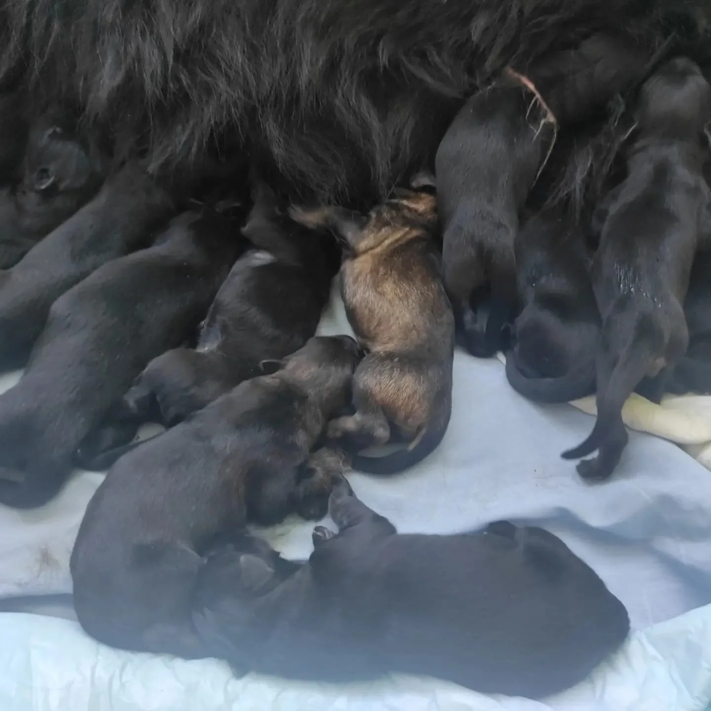 PHOTO-2023-06-24-23-11-15 3.jpg