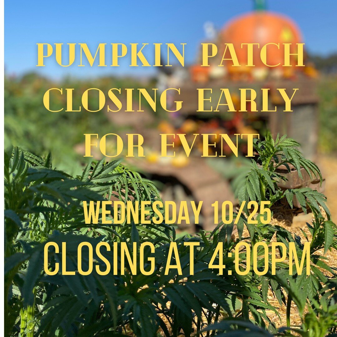 Our patch will be closing to the public early on Wednesday 10/25 for our trick-or-treat event. The store will remain open until 7:00pm, however you will not be able to enter our patch after 4:00pm. Thank you to everyone who will be attending our firs