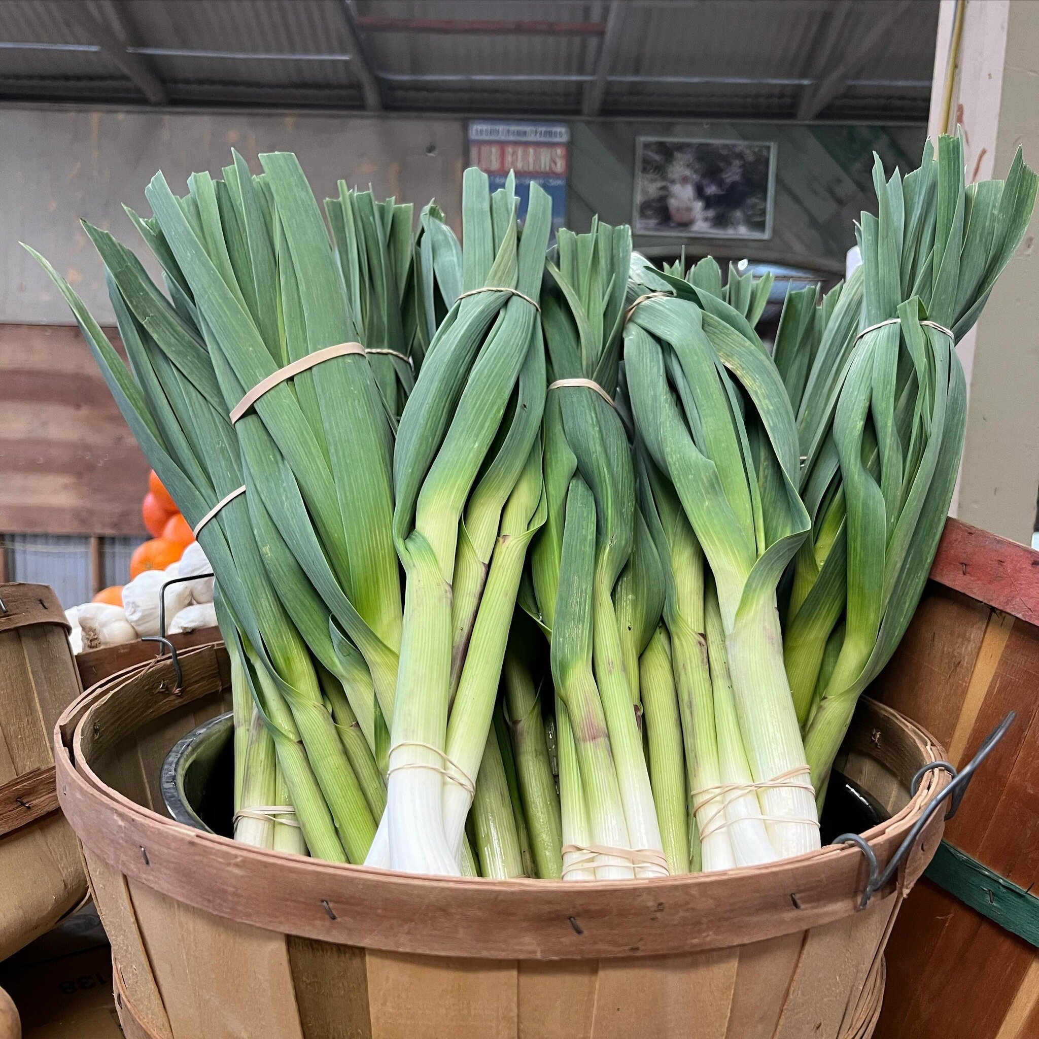 Another Product Announcement! Green Garlic is now in.  Grab some to add some flavor to your meal or stock up to make some green garlic butter! #greengarlic #ljbfarms #shoplocal