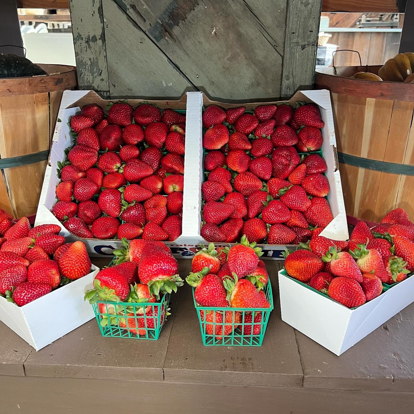 Product Announcement!  Berry season is here and we are so excited to have fresh strawberries from Watsonville in stock.