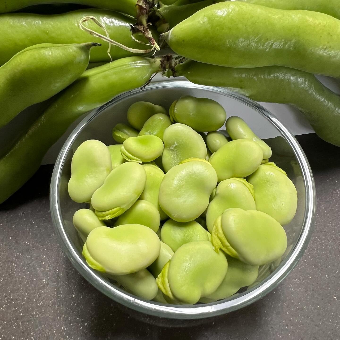 Product Announcement! Fava Beans are here! Time to stock up, they are first come first serve. You can call at the end of the day if you are looking to buy cases of them.