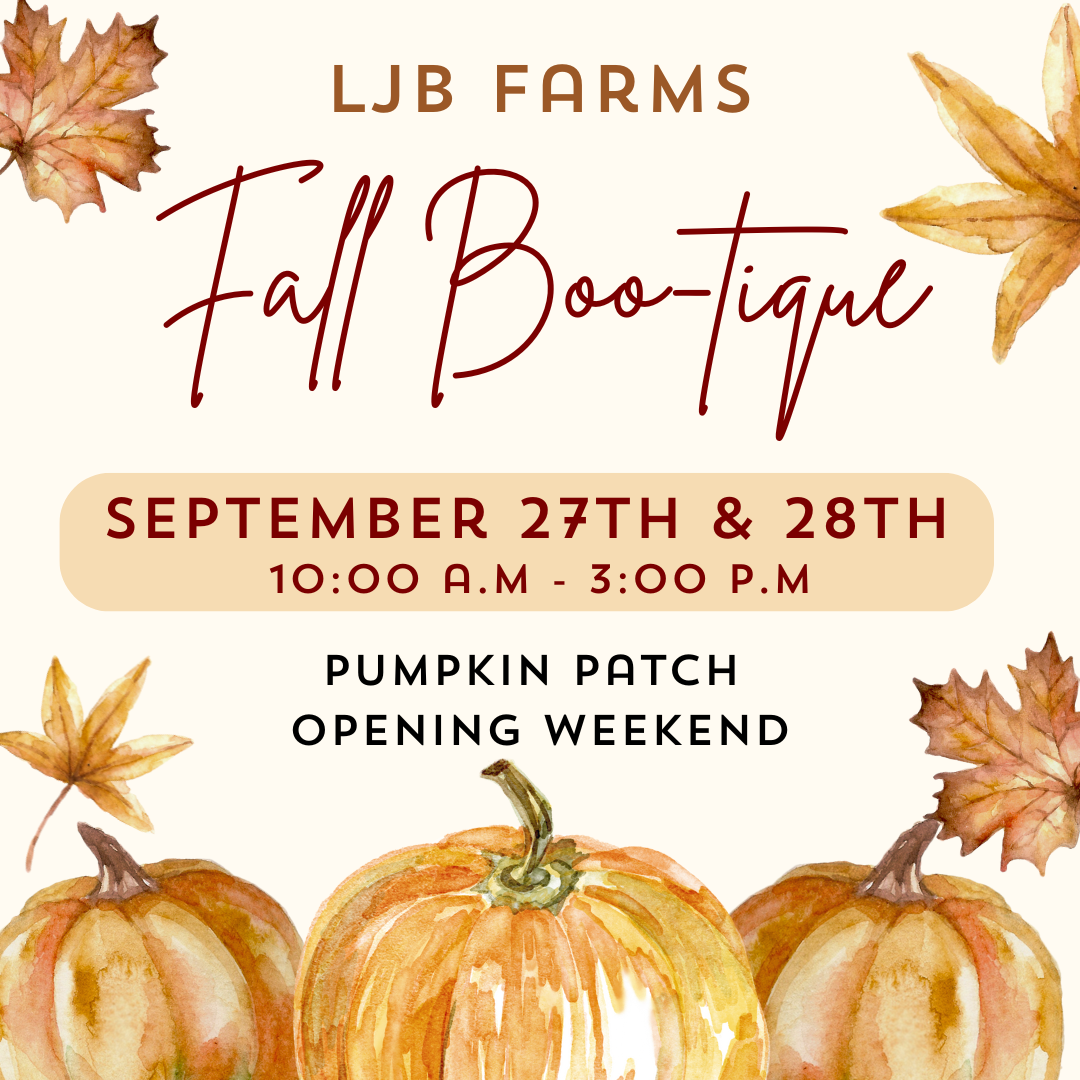 Fall Boo-tique