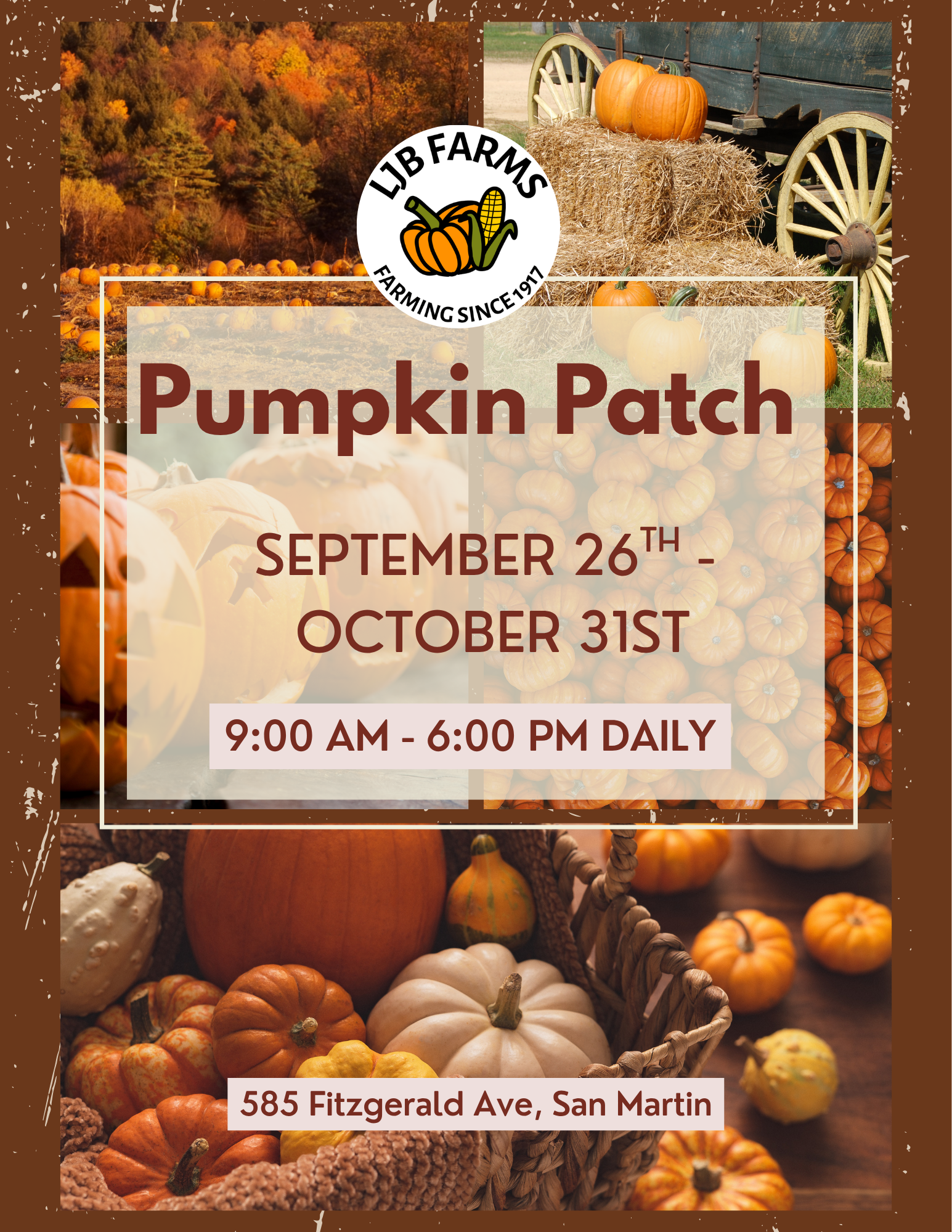 Pumpkin Patch