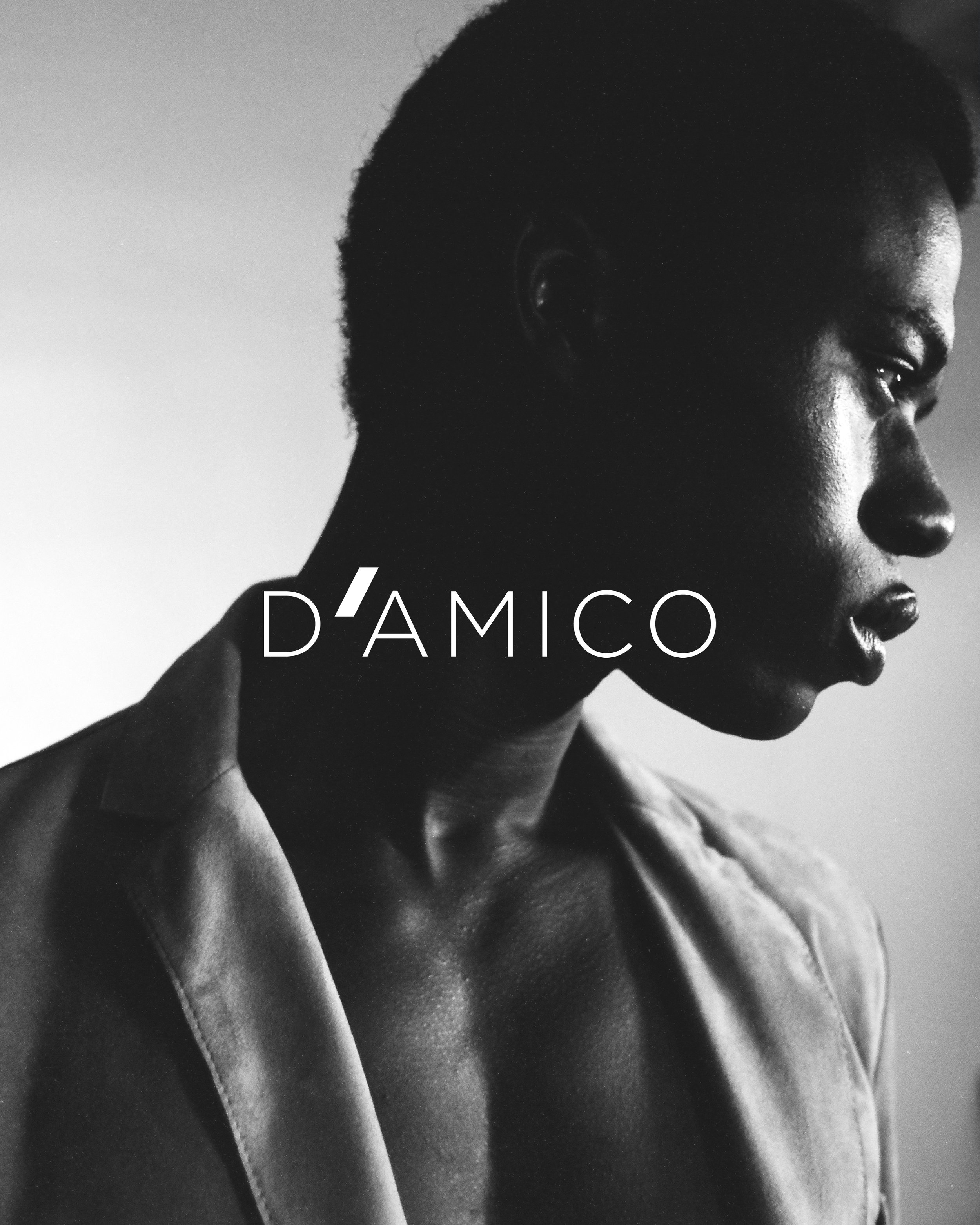 DAMICO_04.jpg