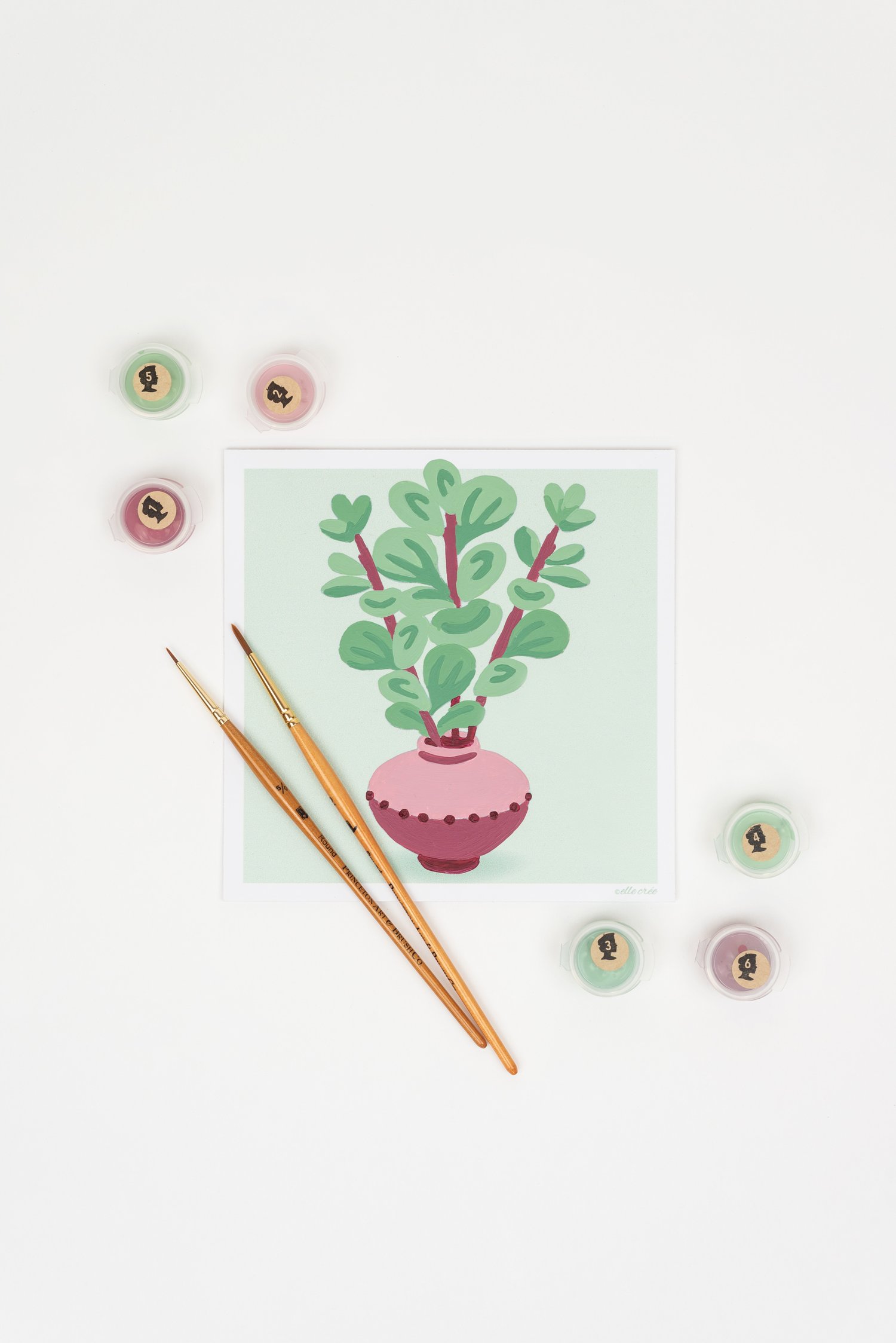 Elle Cree Blooming Succulent in Hobnail Bowl Paint-by-Number Kit