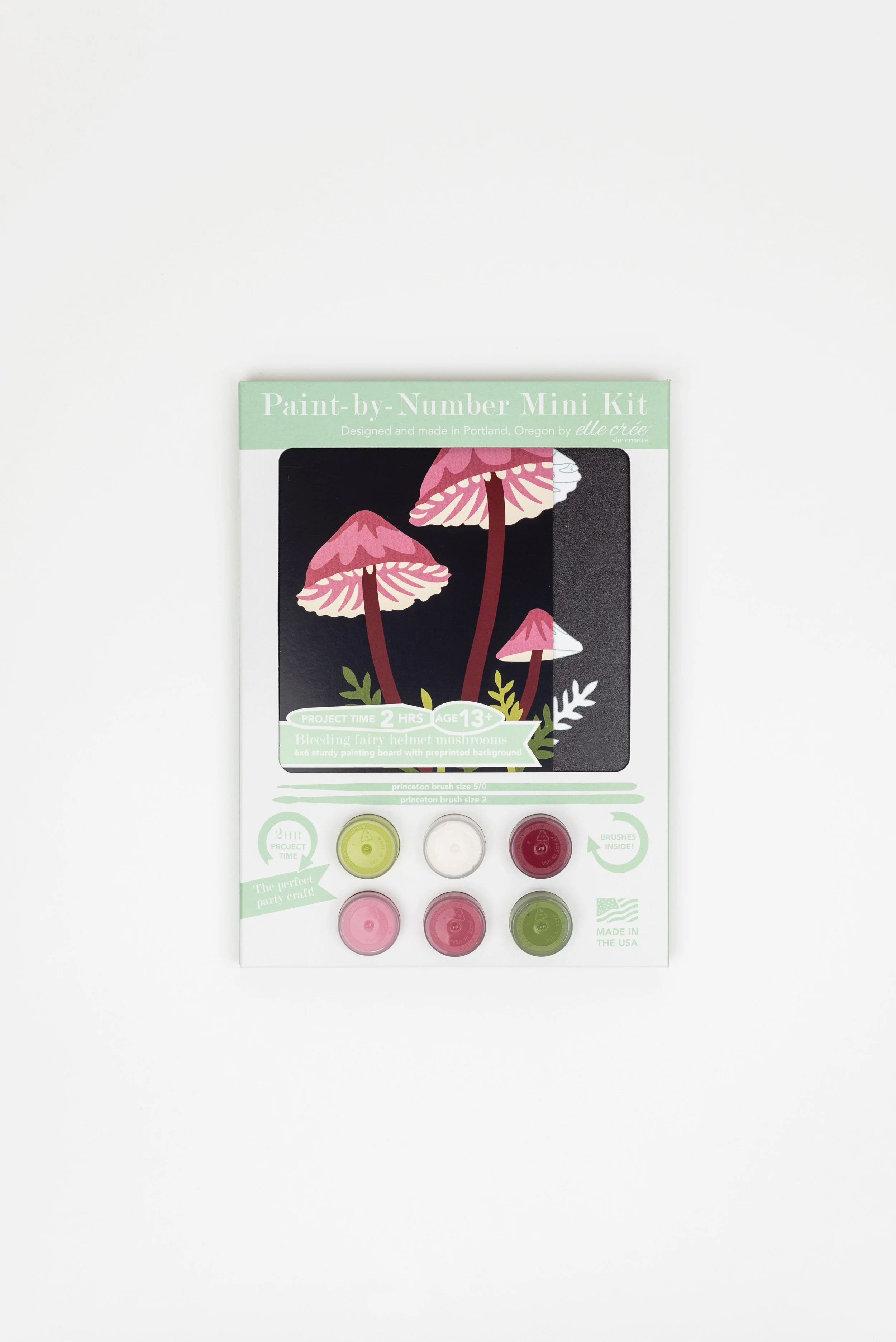 Bleeding Fairy Helmet Mushrooms PaintbyNumber Kit for Adults — Elle