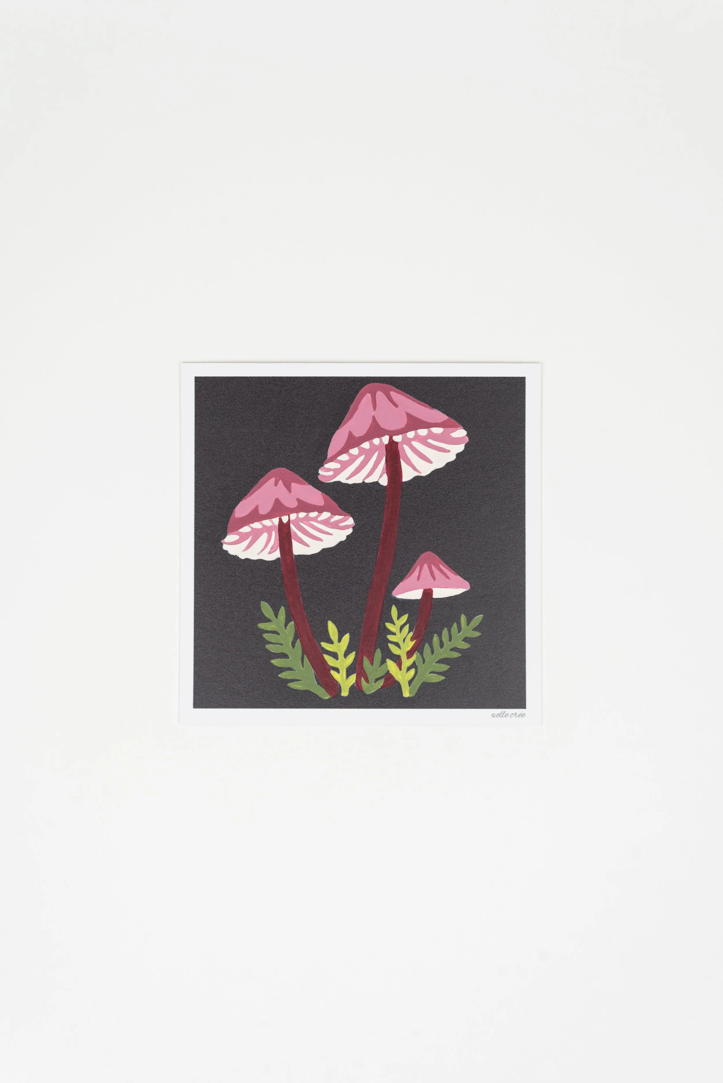 Bleeding Fairy Helmet Mushrooms PaintbyNumber Kit for Adults — Elle