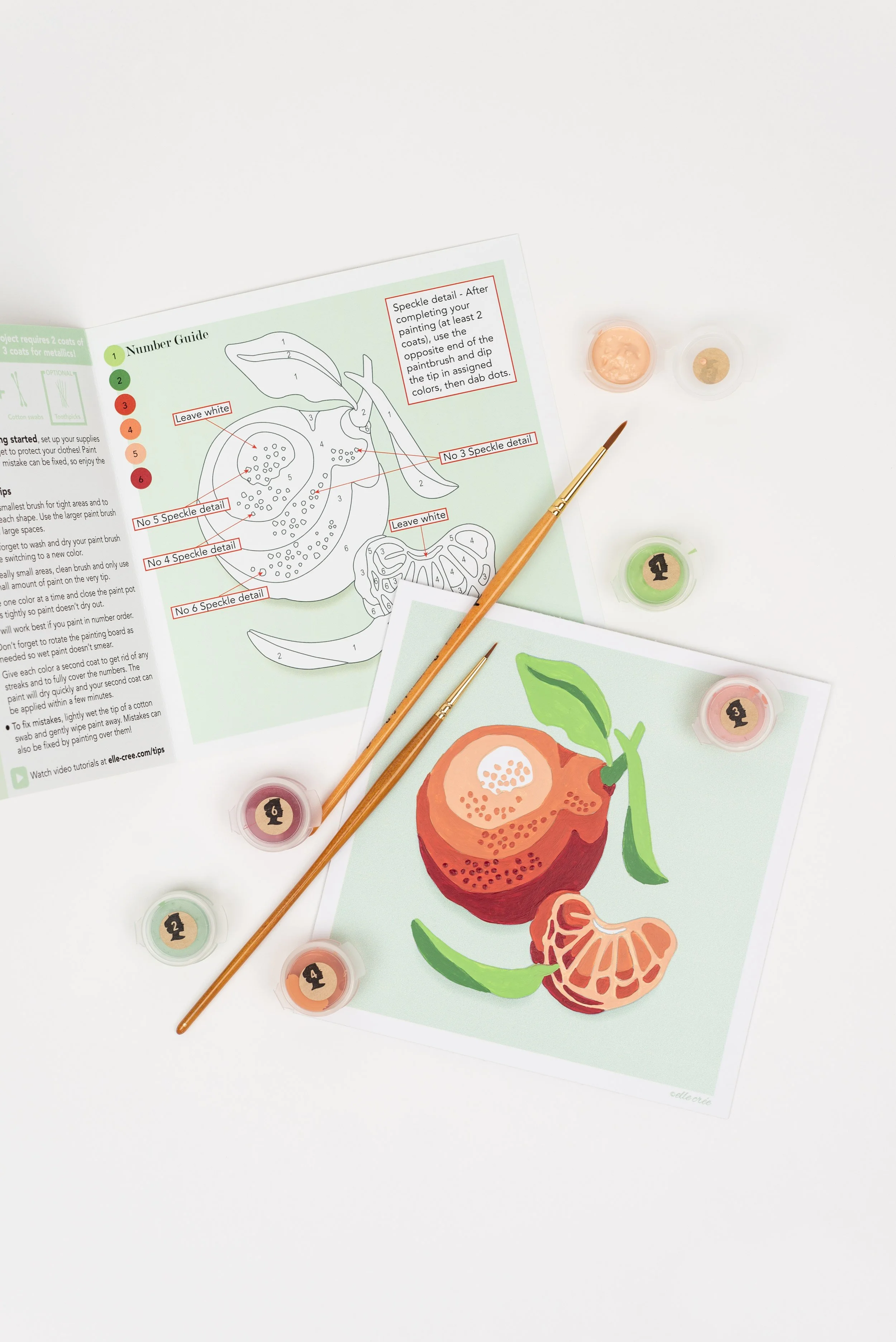 Clementines PaintbyNumber Kit for Adults — Elle Crée (she creates)