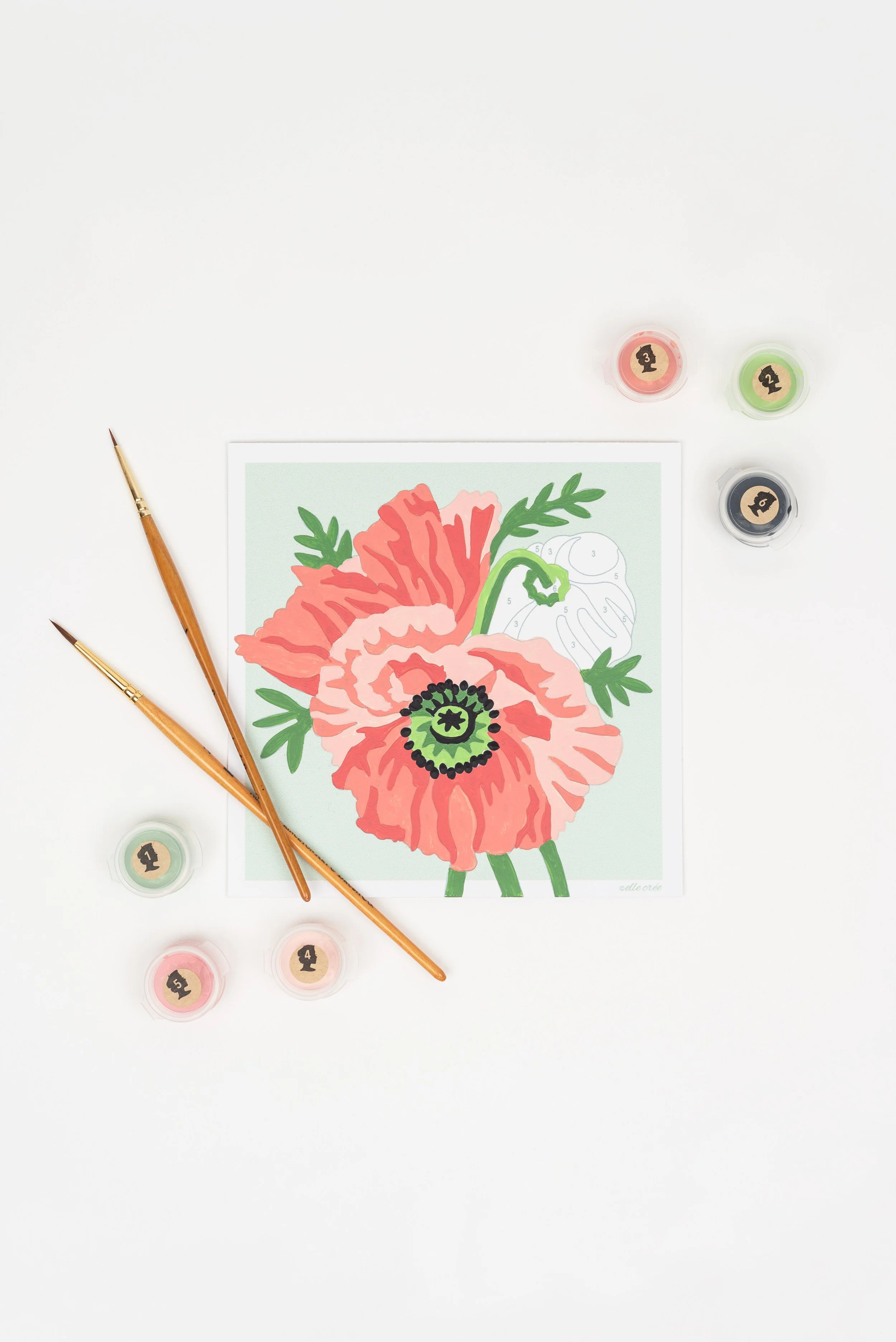 Poppies Mini PaintbyNumber Kit for Adults — Elle Crée (she creates)