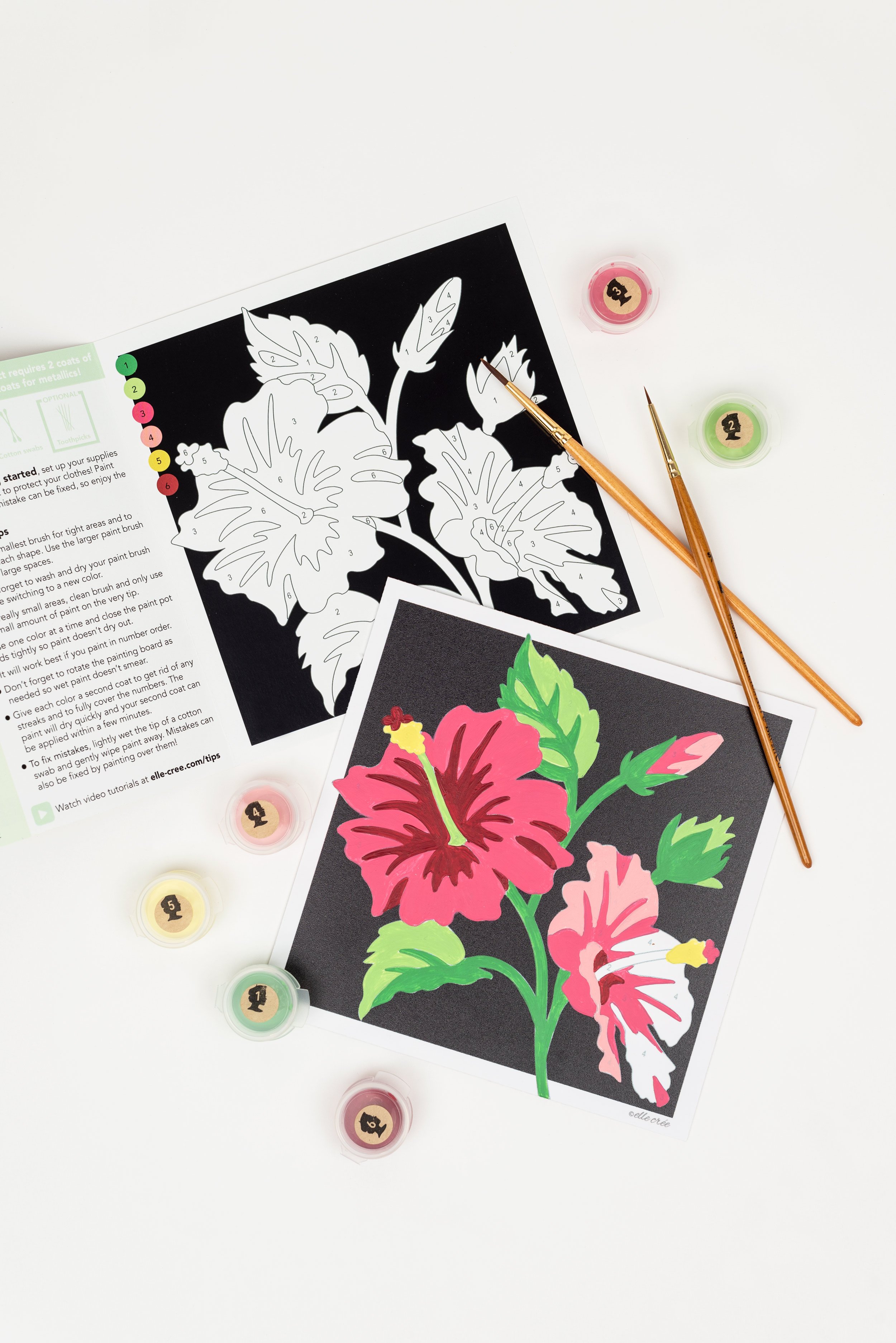 Hibiscus Mini PaintbyNumber Kit for Adults — Elle Crée (she creates)