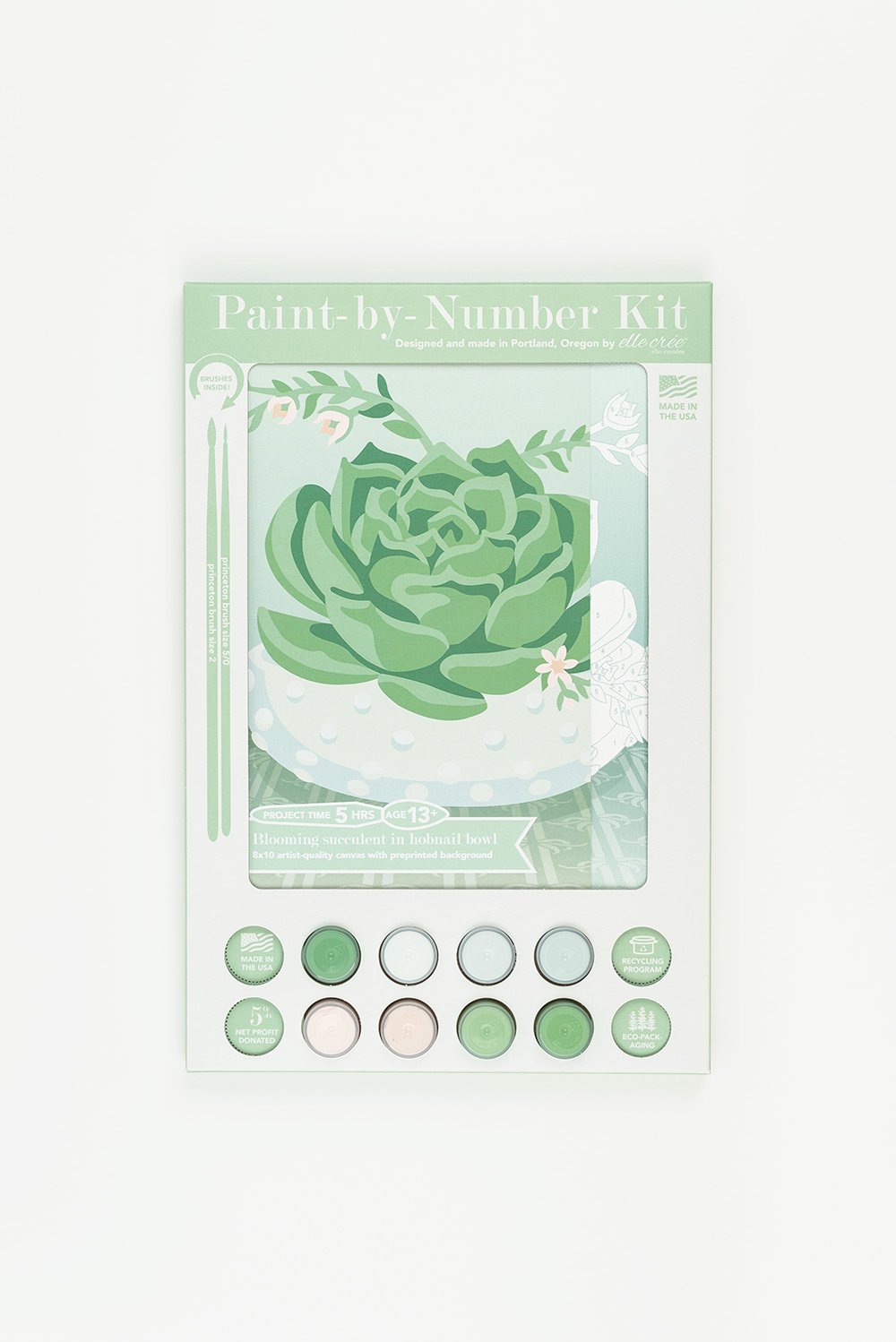 Elle Cree Blooming Succulent in Hobnail Bowl Paint-by-Number Kit