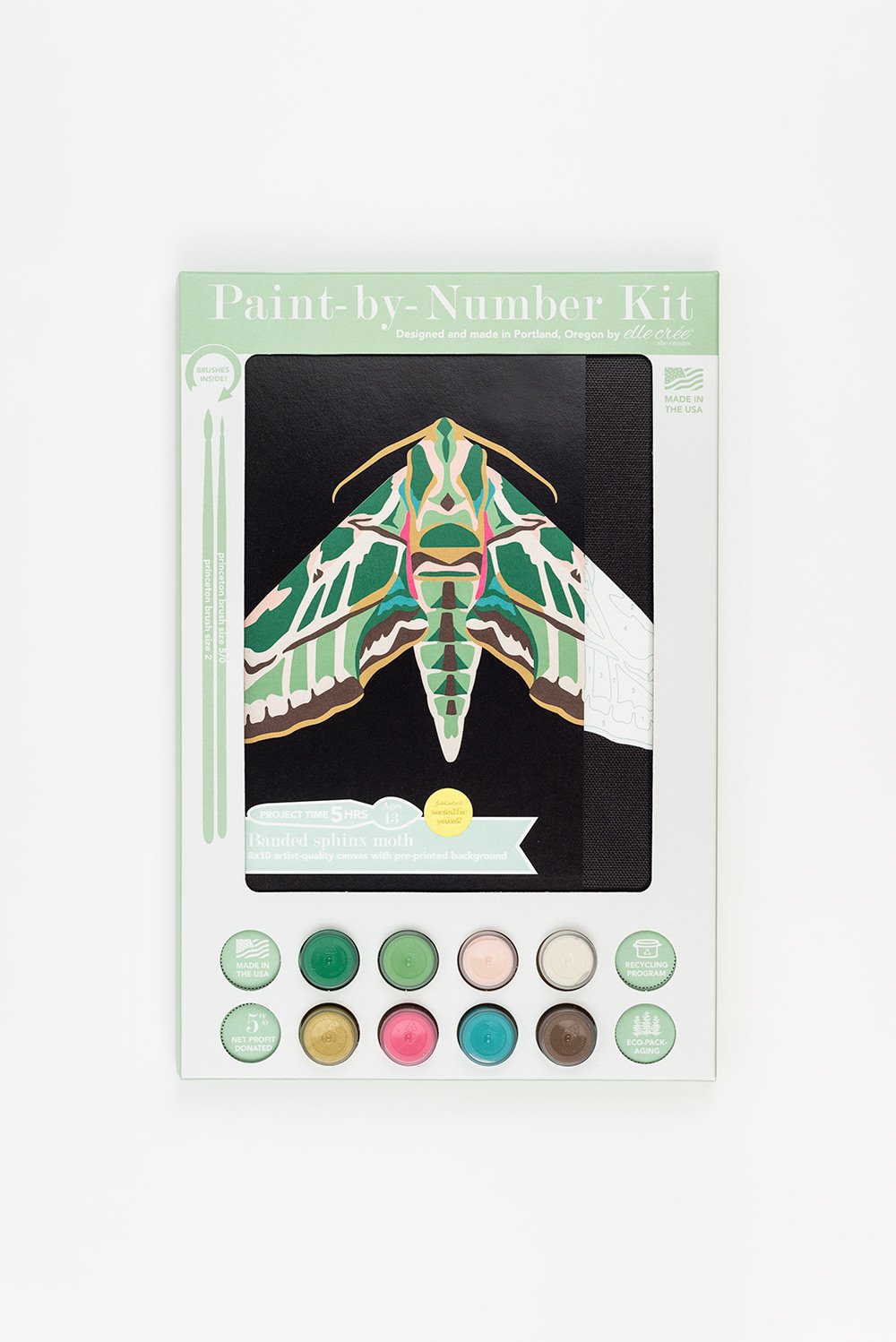 Clementines | Paint-by-Number Kit for Adults — Elle Crée (she creates)