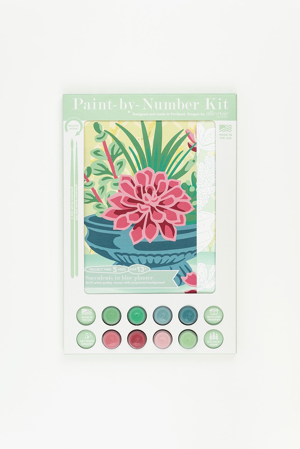 Succulents in Blue Planter  Paint-by-Number Kit for Adults — Elle Crée  (she creates)