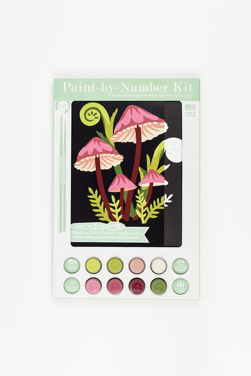 Crater Lake | Paint-by-Number Kit for Adults — Elle Crée (she creates)