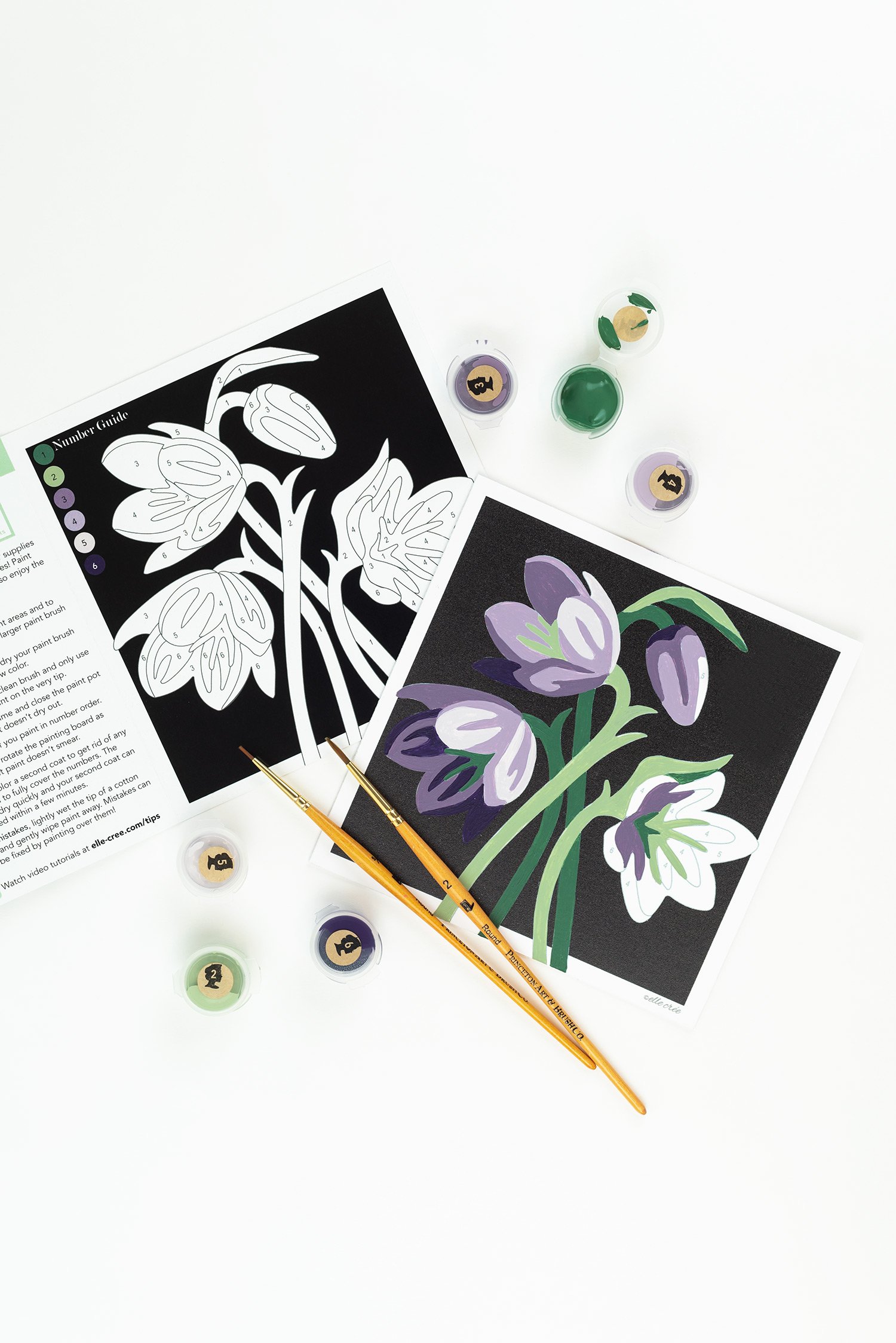 Fritillaria, Paint-by-Number Kit for Adults — Elle Crée (she creates)