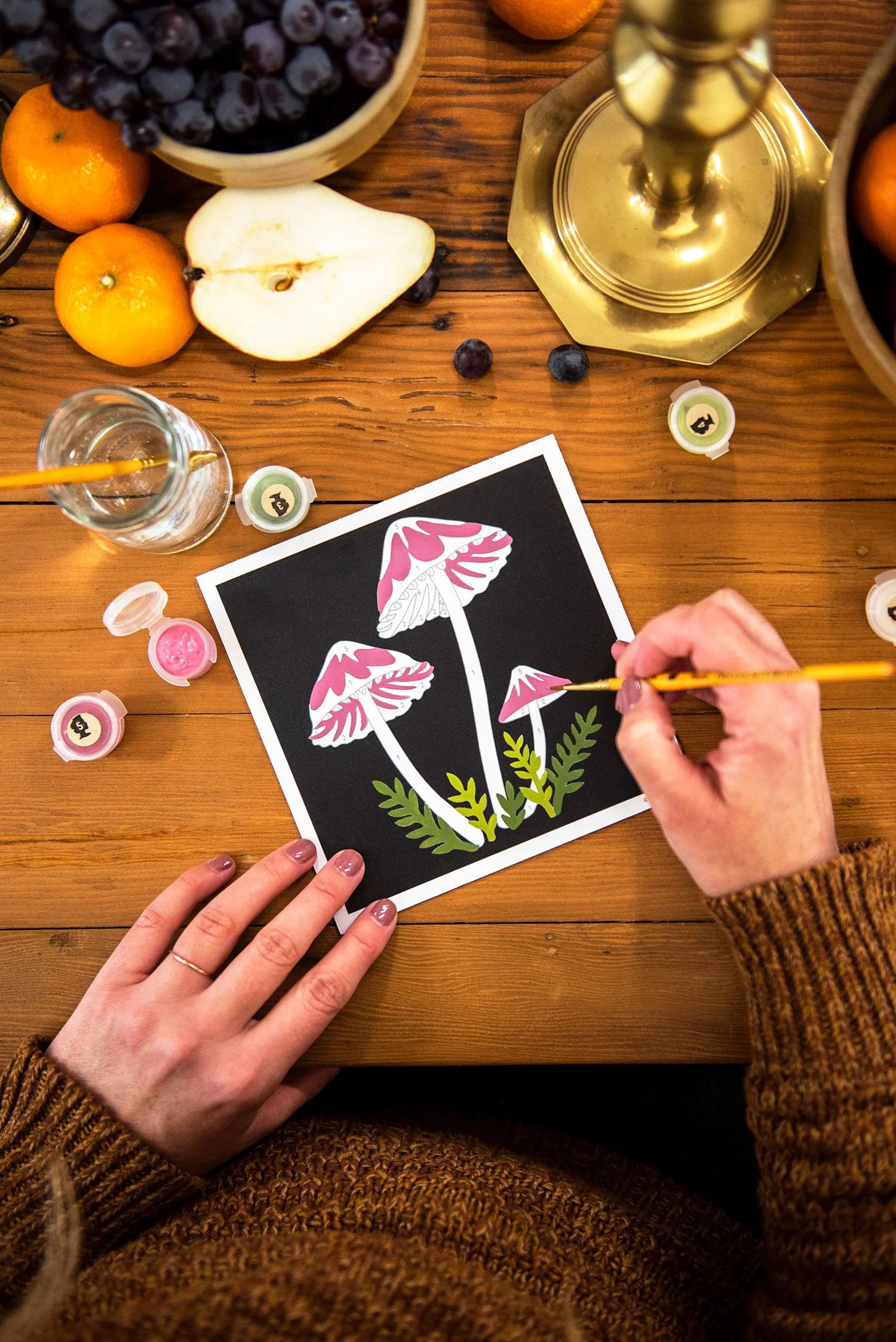 Bleeding Fairy Helmet Mushrooms PaintbyNumber Kit for Adults — Elle