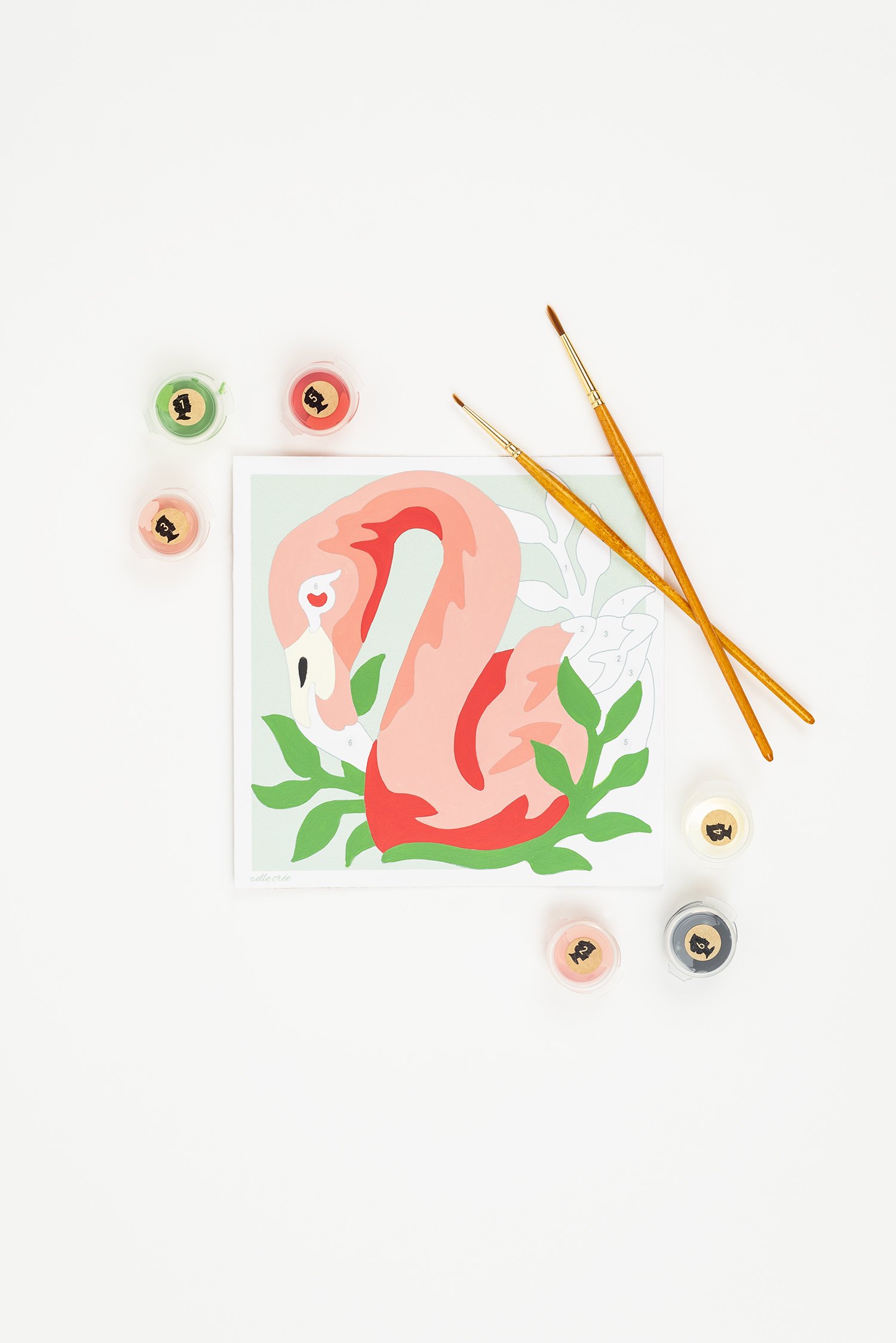 Flamingo Diy Paint By Numbers Kit For 8+kids And Adults - Temu