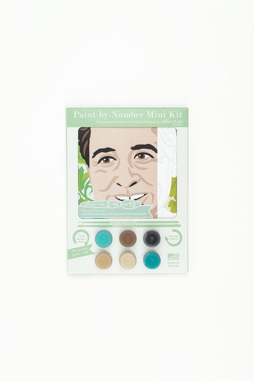 MLK Paint by Number Kit Mini - Pennysmiths Paper