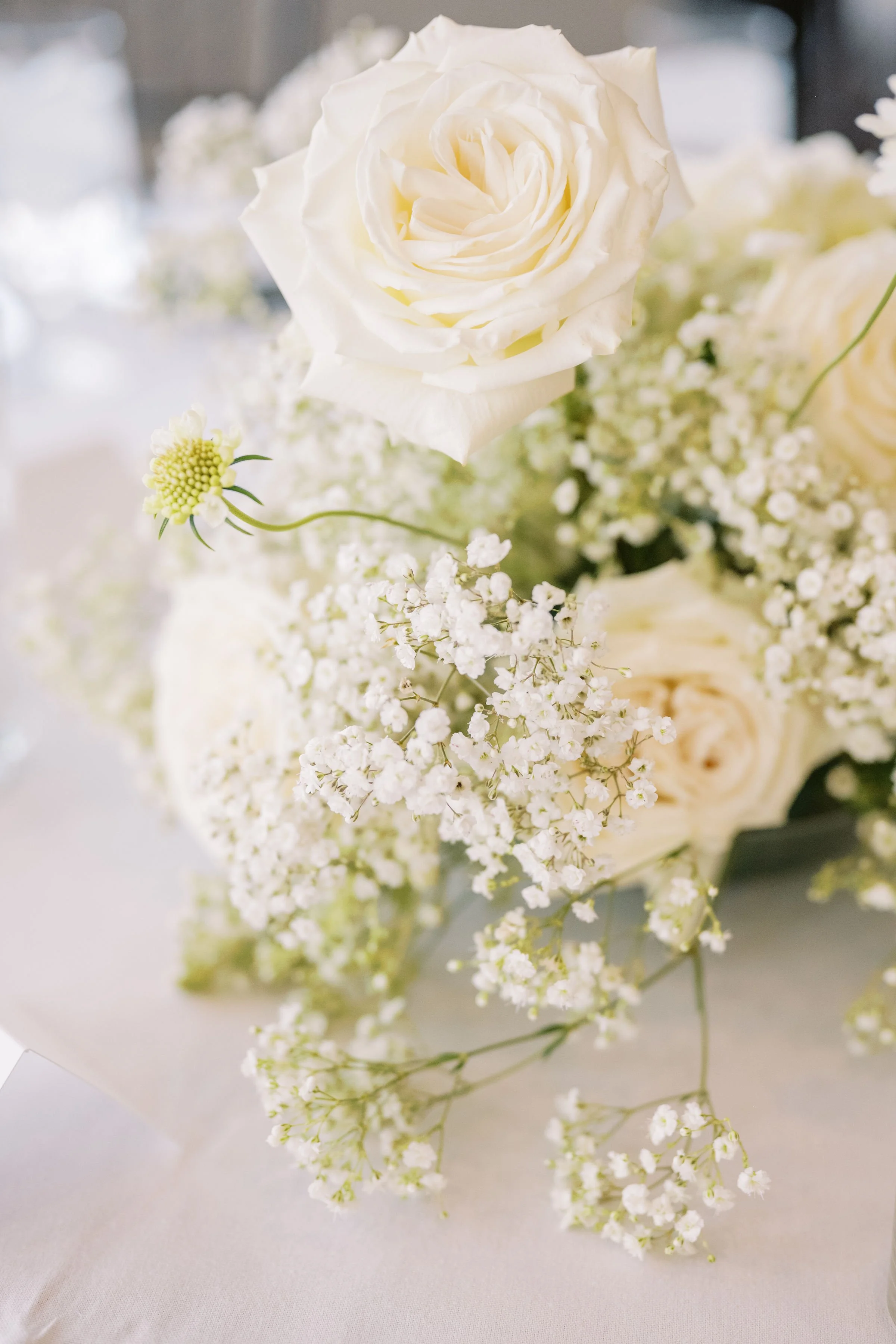 Samantha-Leigh-Studios-Bay-Harbor-Yacht-Club-Wedding-Vacca-Detail-Reception-6.jpg