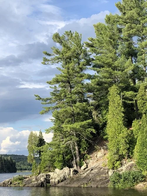 Avoir tout essayer mais sans RÉSULTAT