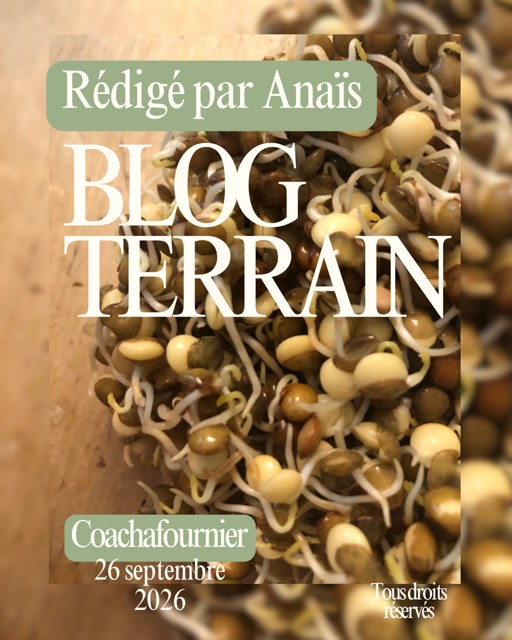 Les Germinations, par Anaïs Fournier, yoga du rire, naturopathe basée à Rimouski, au Québec, et offrant des rencontres virtuelles.